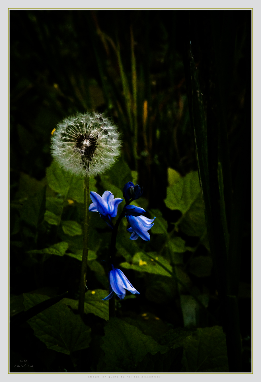 With a Konica lens 70-150mm f4