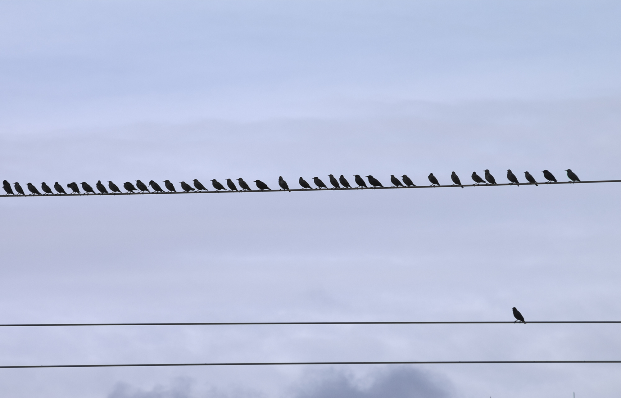 Out of the choir...