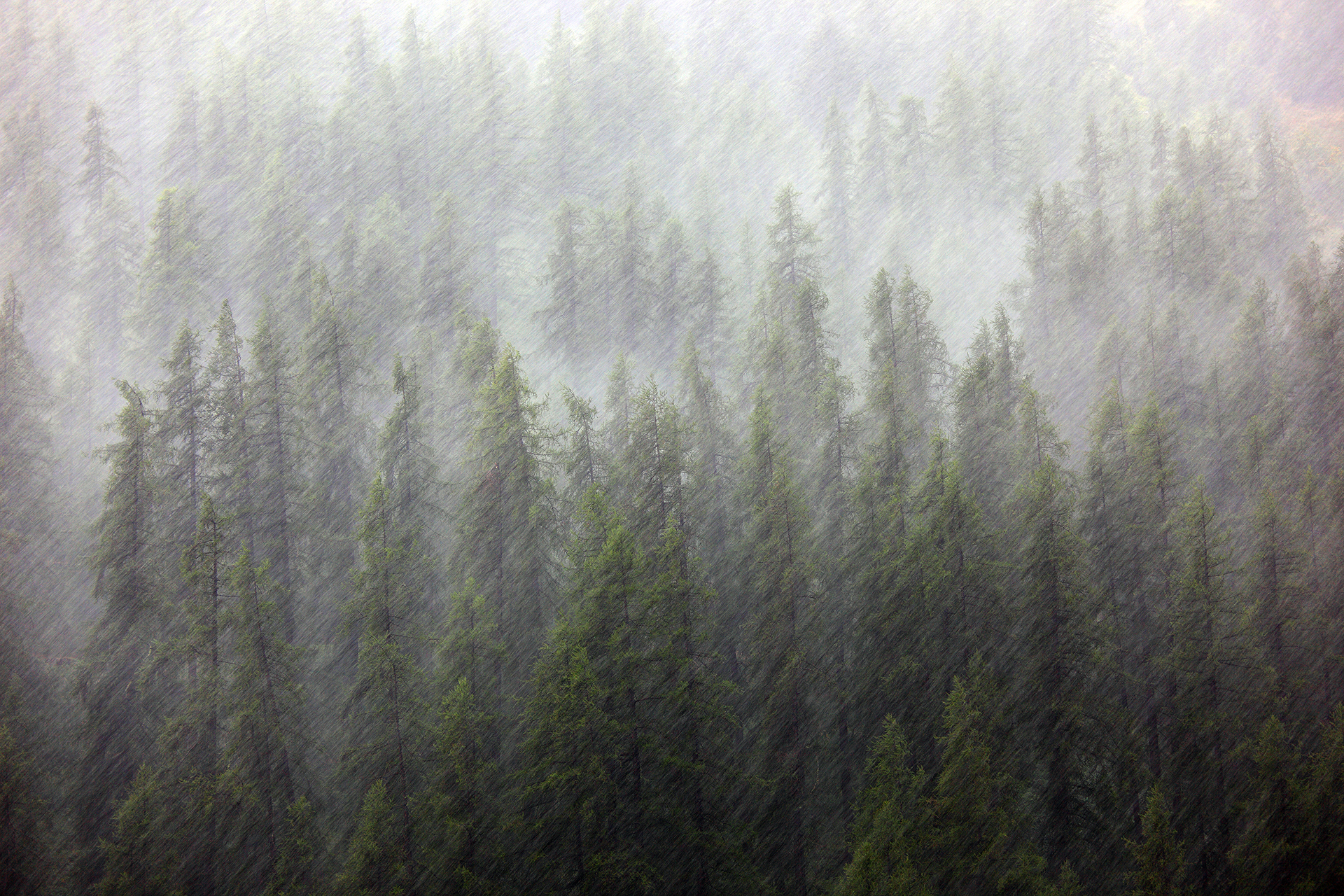 Violent thunderstorm