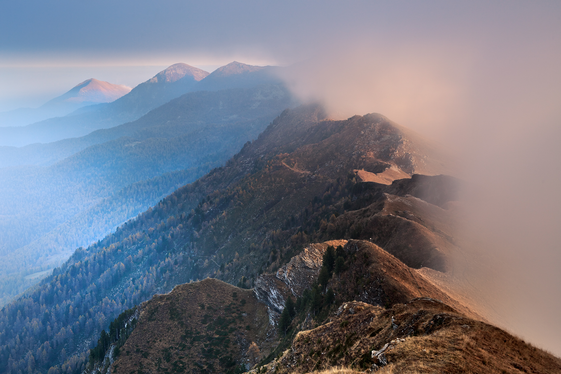 Mists and light at the Bicocca hill