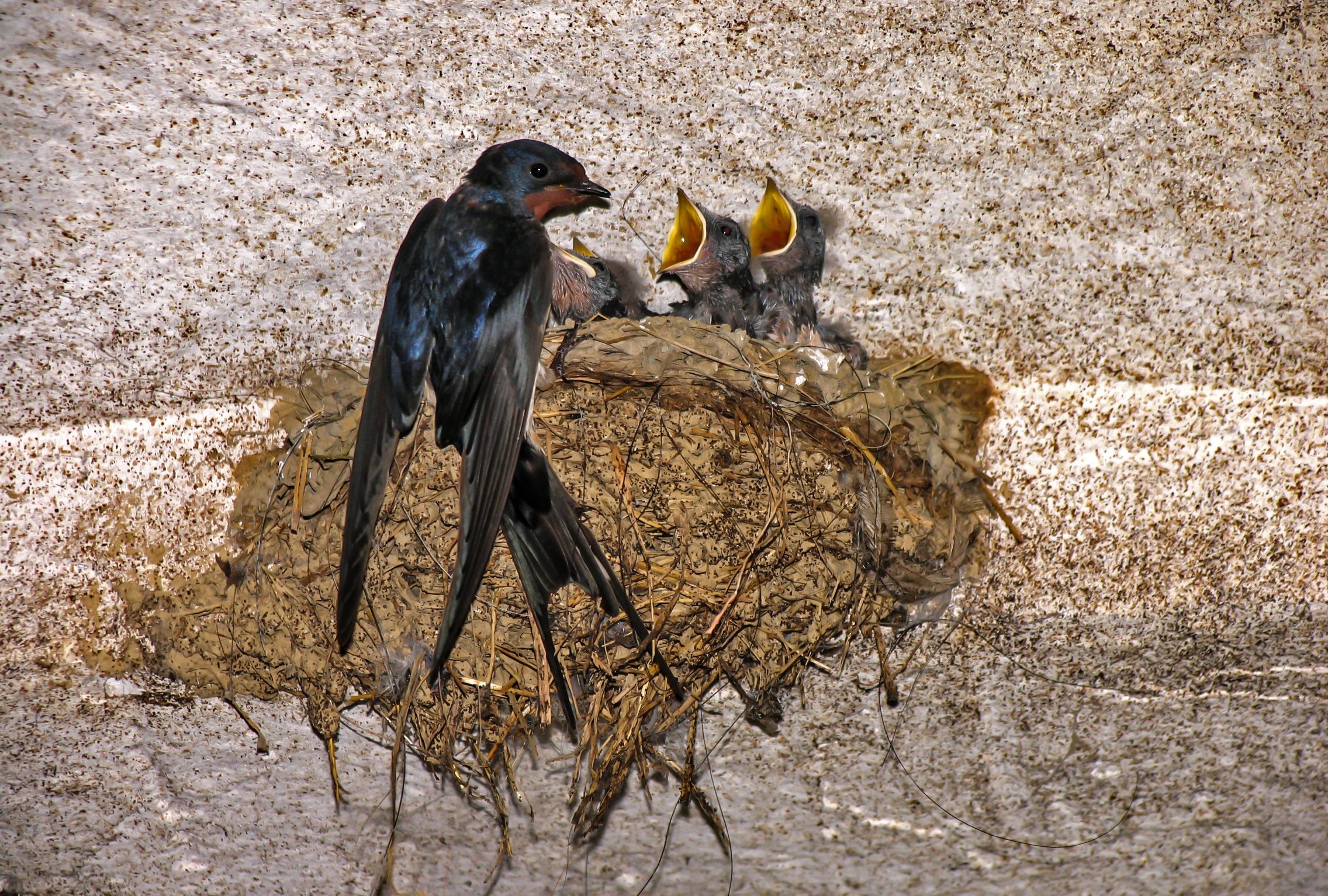 Sperando che questa primavera arrivi davvero
