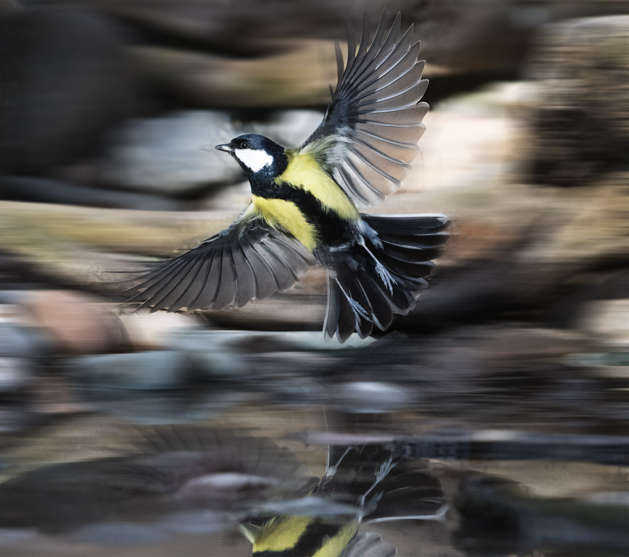 Movimento