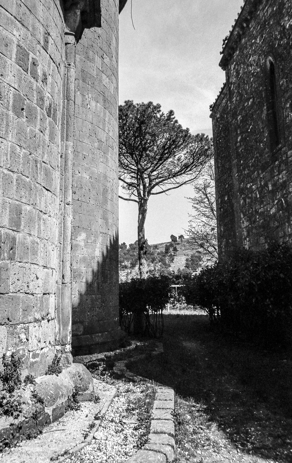 Il Giudice e le due Verità