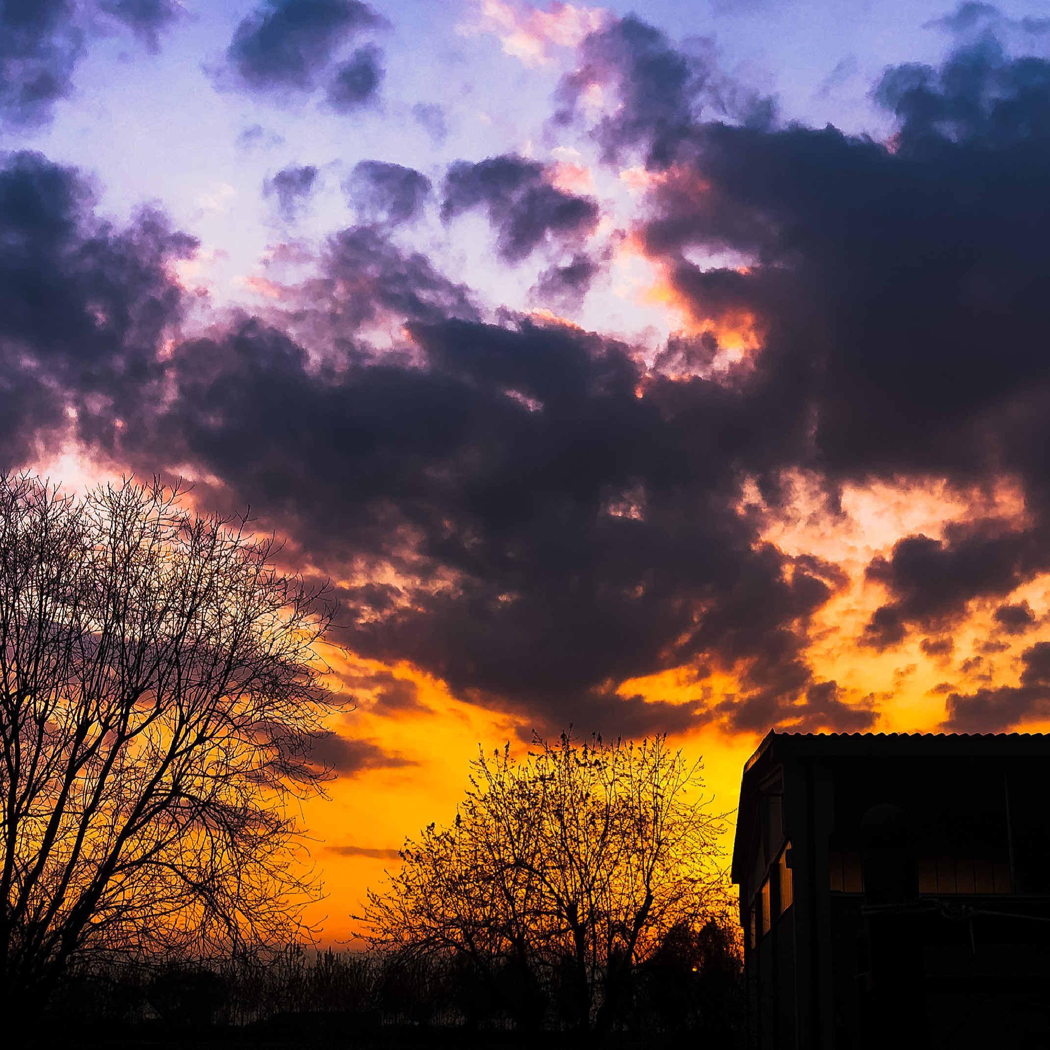 Untitled Photo