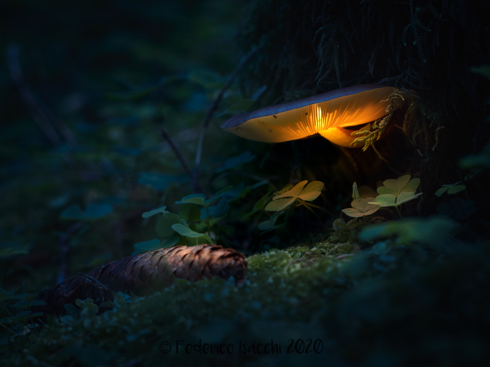 Il ritorno di Malefica