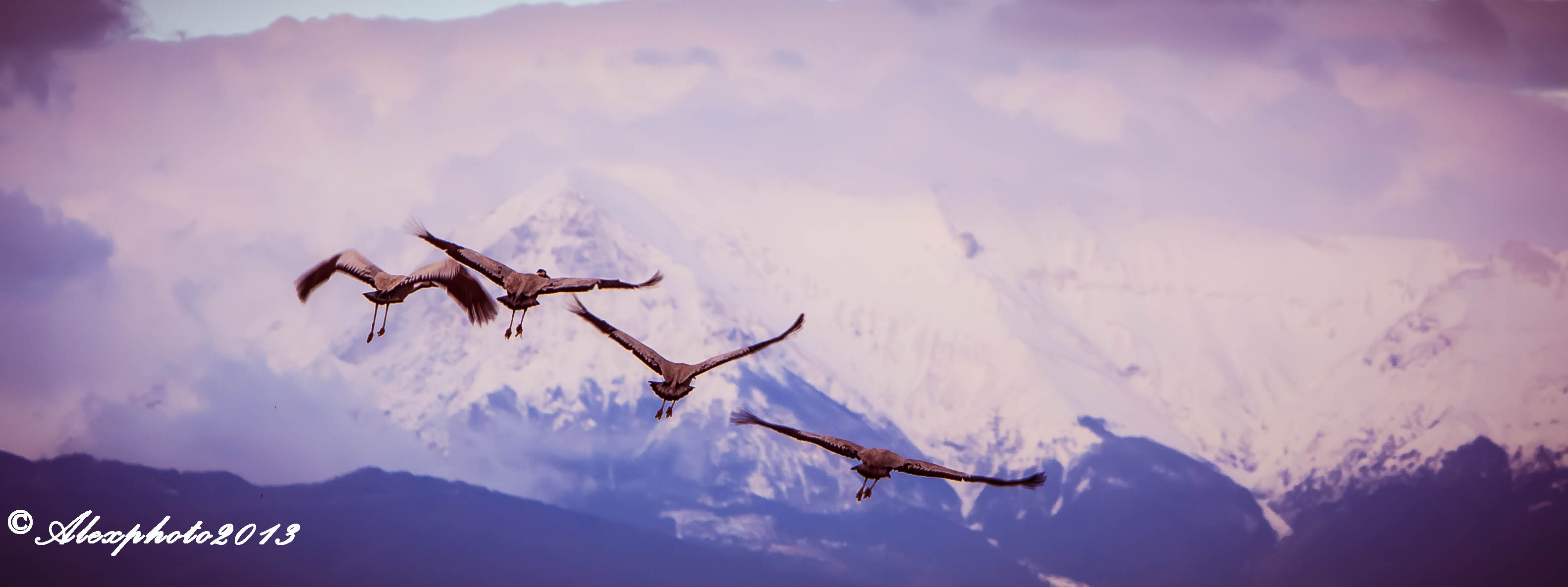 Il ritorno delle GRU