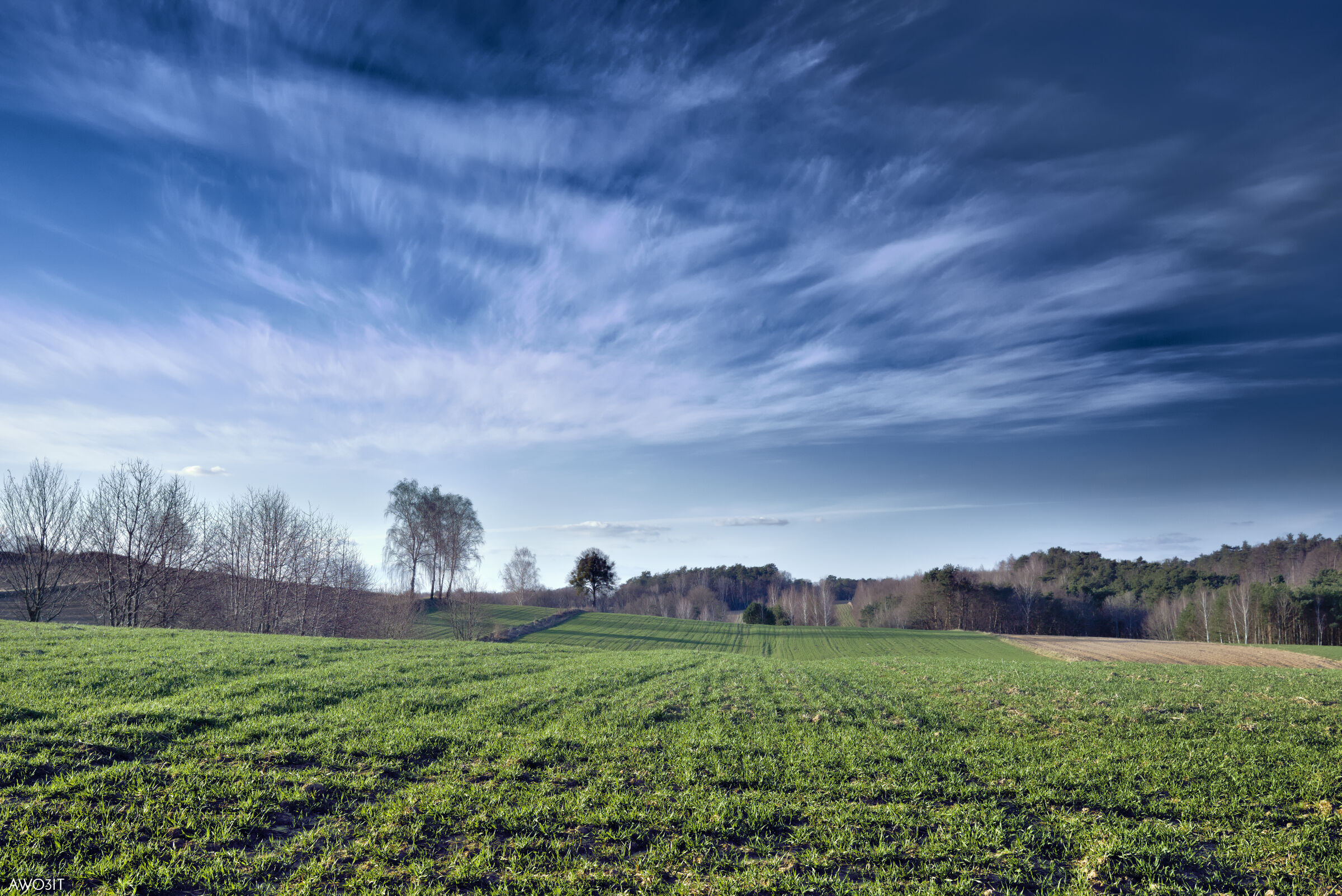 Le colline di Niemienice ad Aprile
