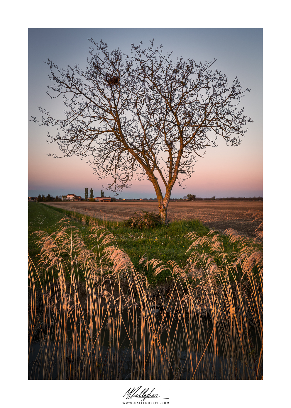 Magnifico sul far della sera