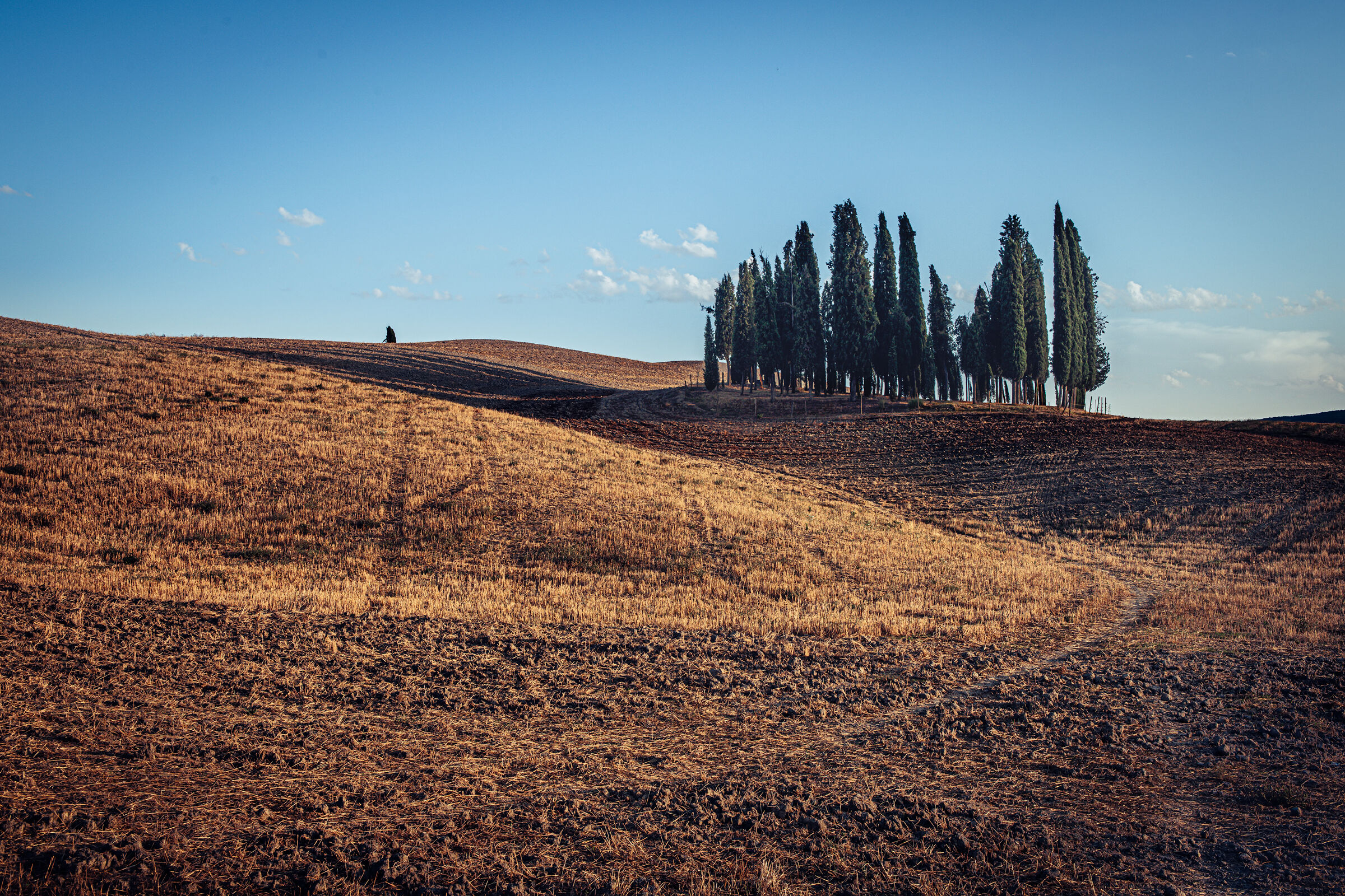 "Sotto il sole della Toscana"