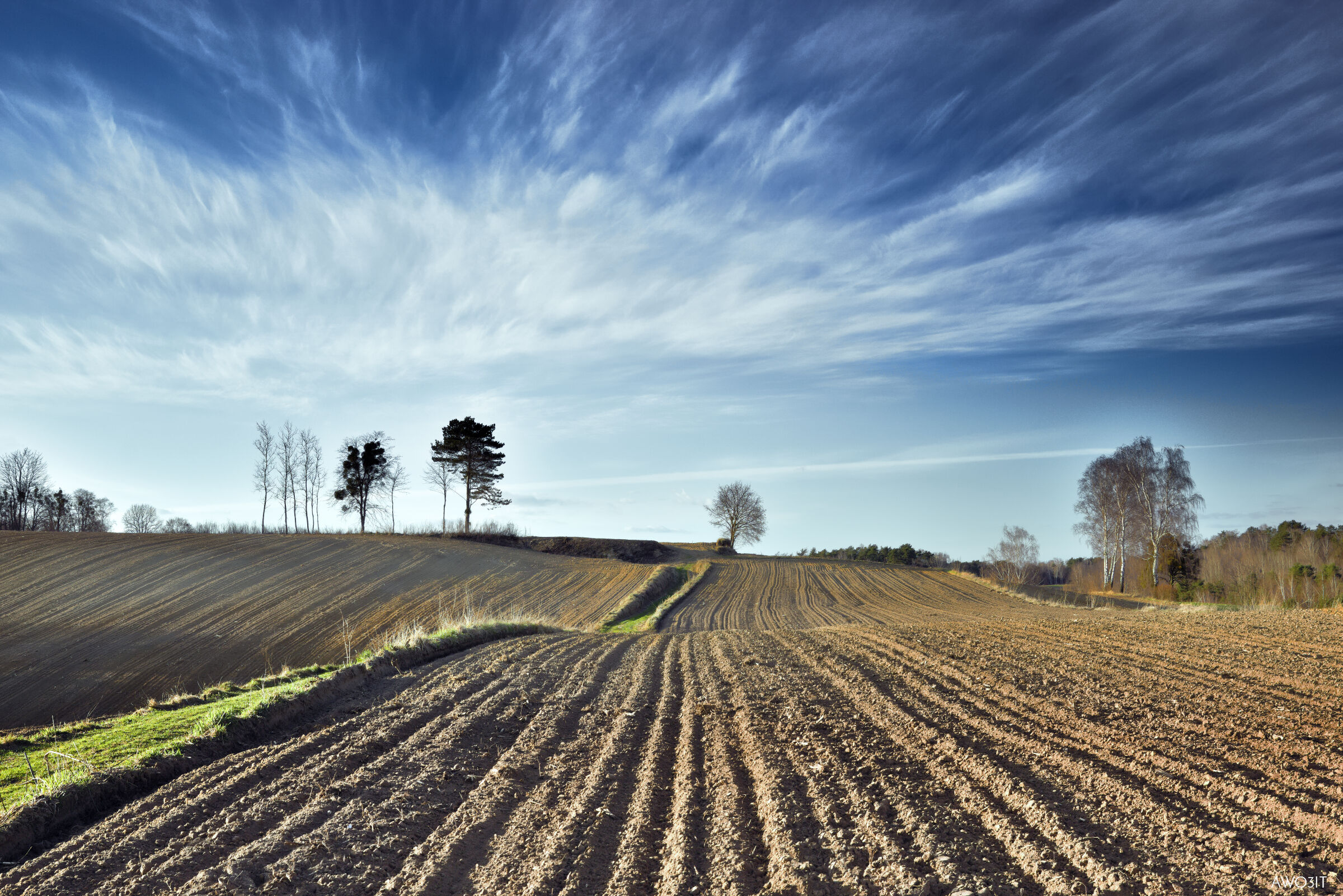 Venerdi Santo tra i campi polacchi