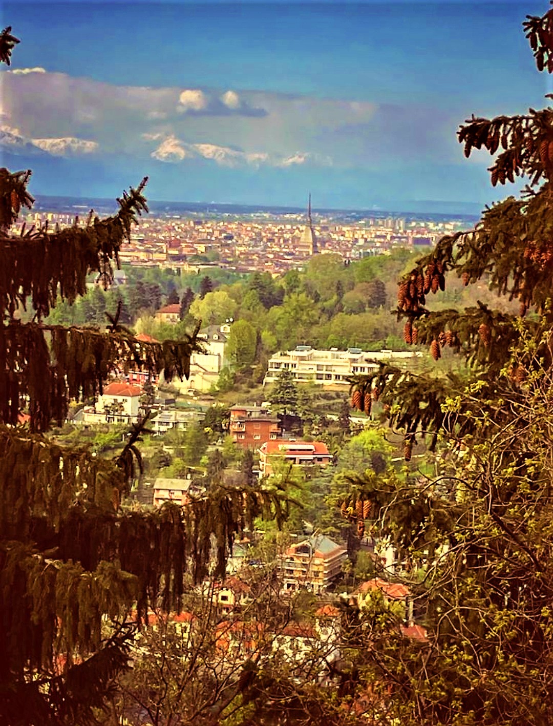 turin overview