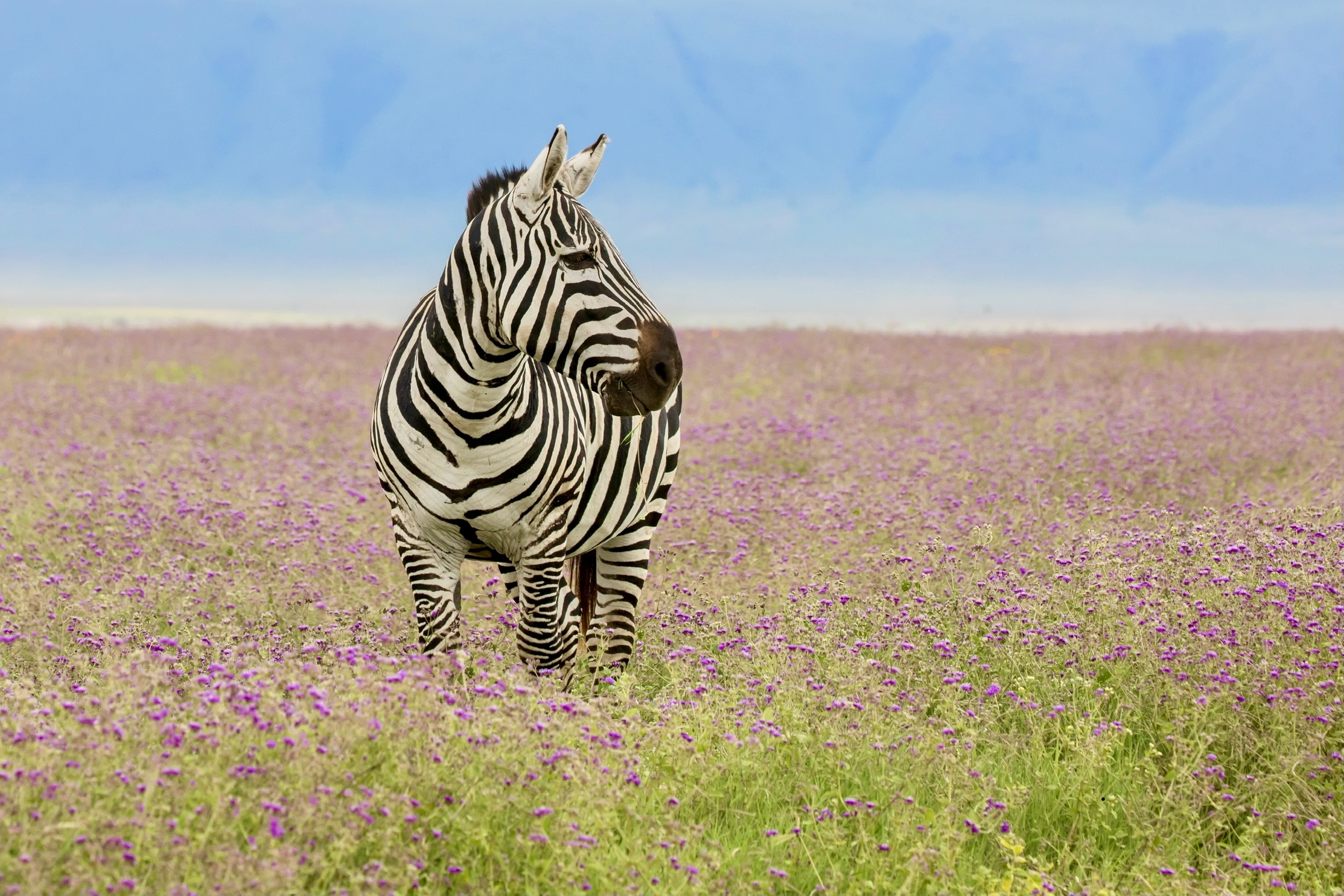 At the end of the rains
