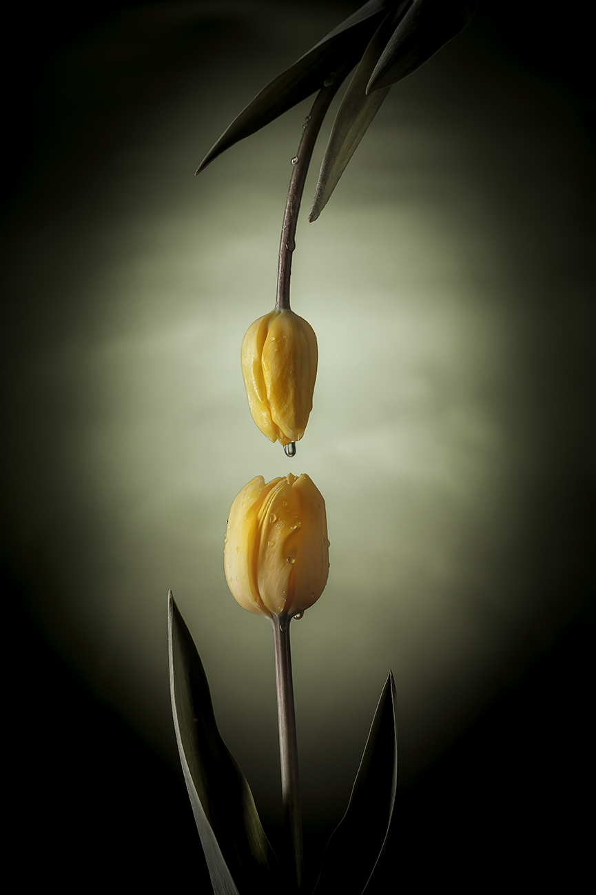 Untitled Photo