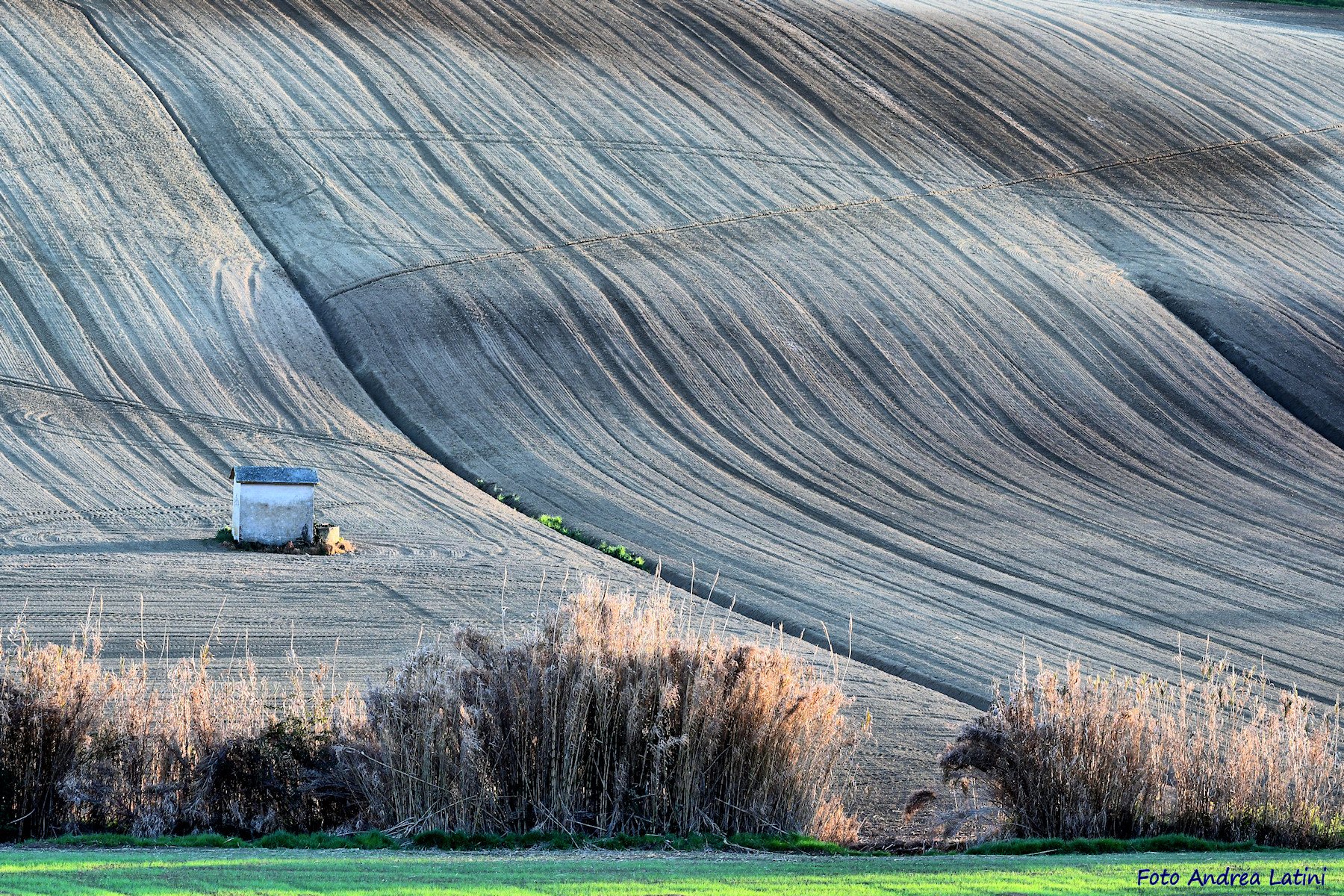 Landscape of the Marche