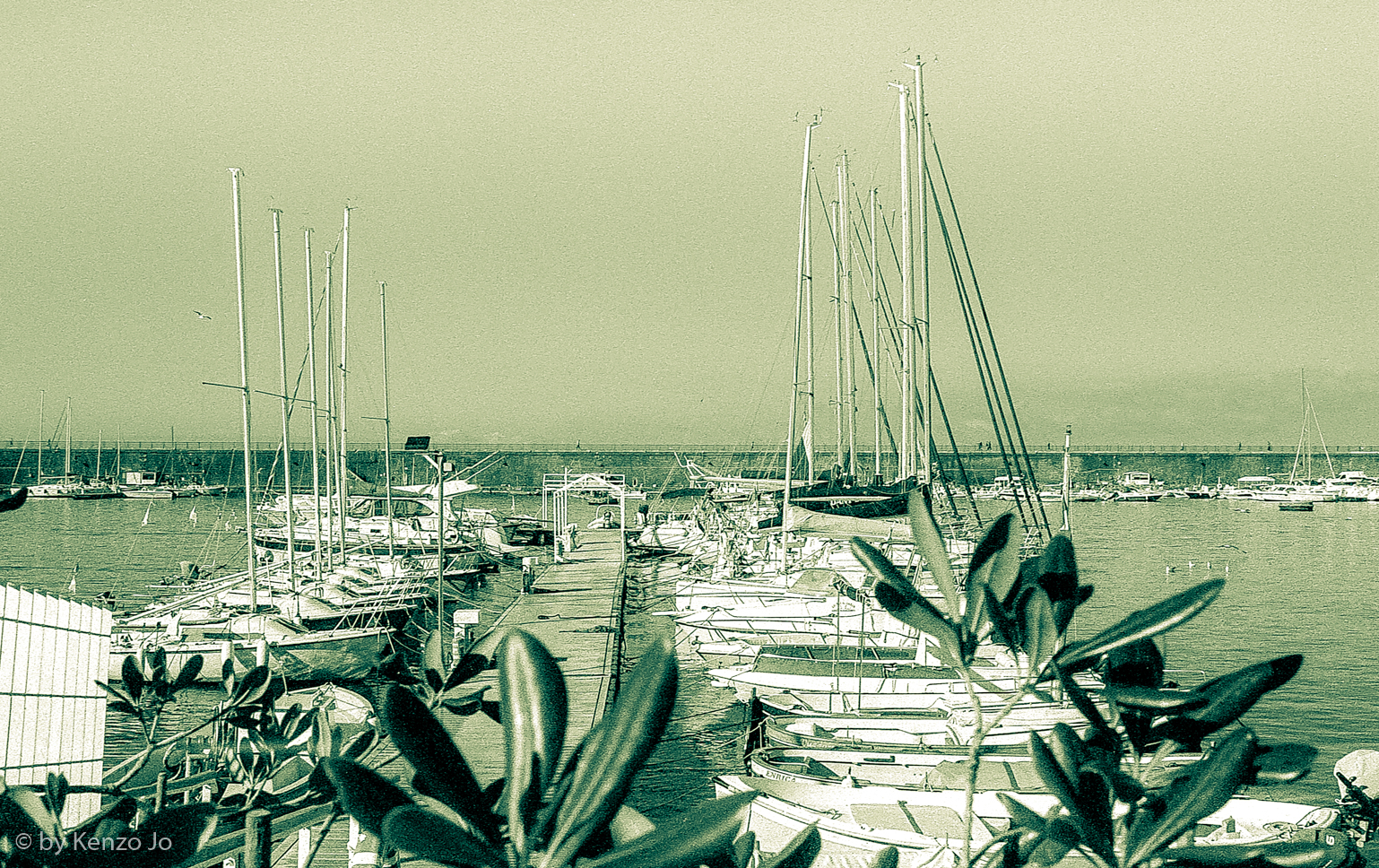 Yorre del Greco - port - analog photo