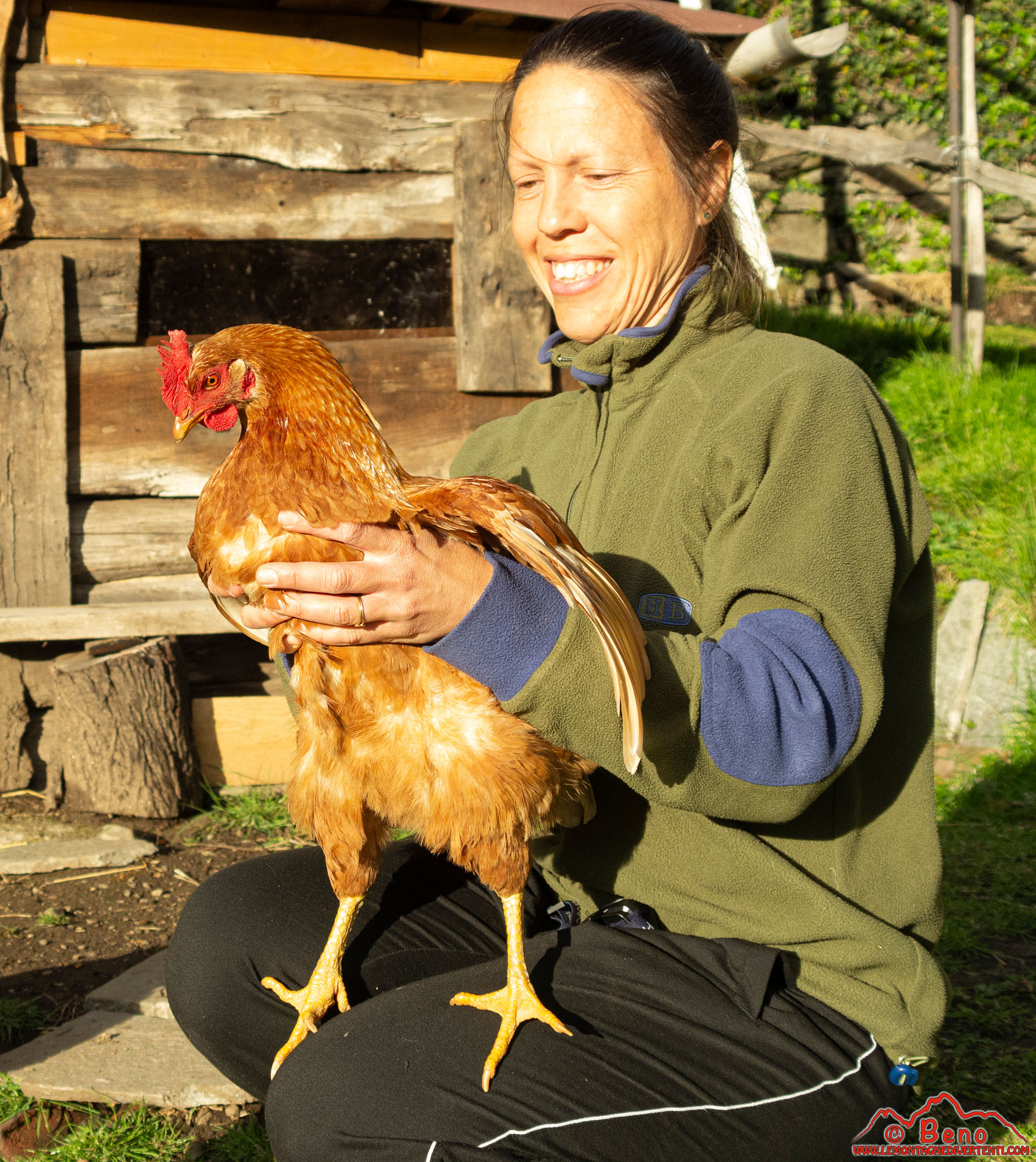 La domatrice di galline