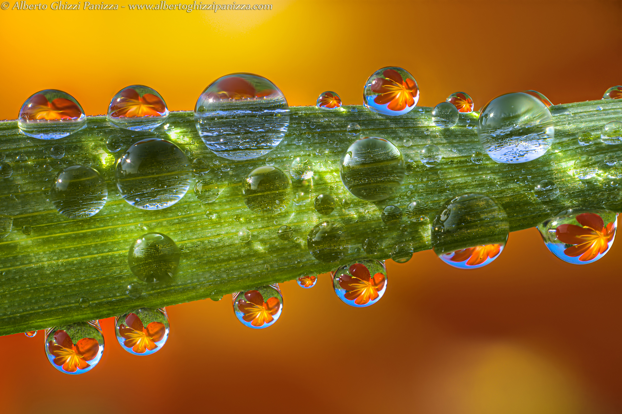 Ritorno alla primavera #2