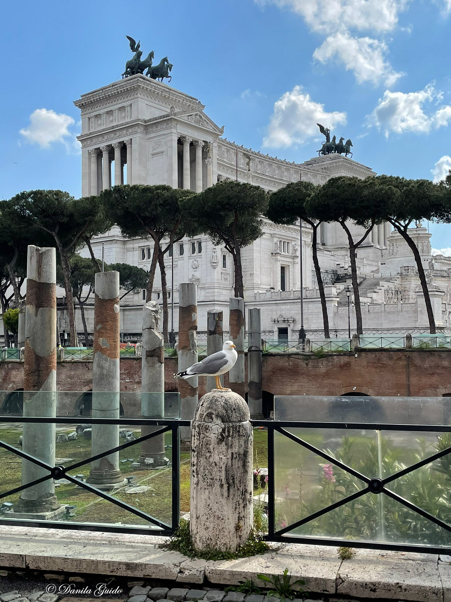 and here I command.... and this is my house!