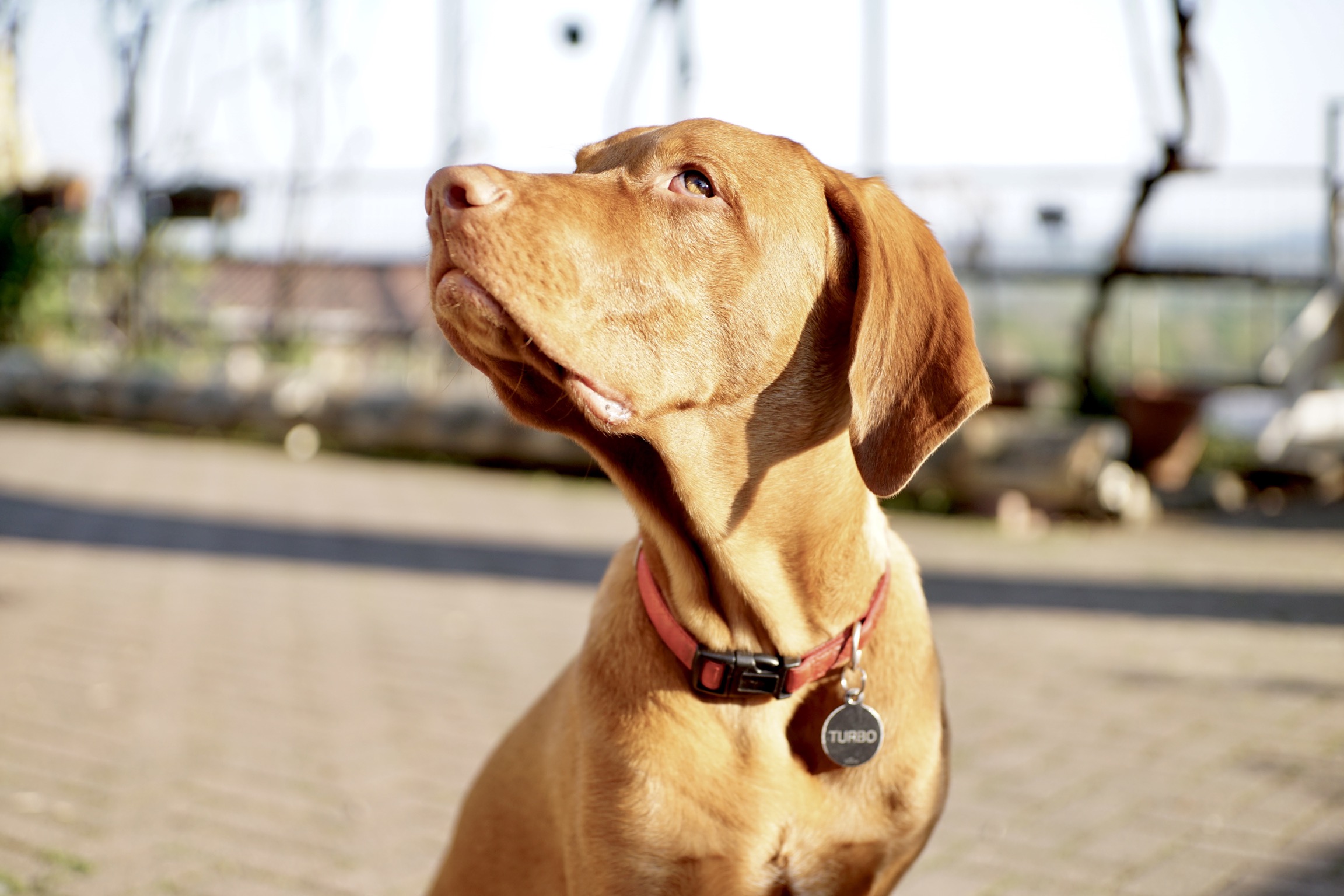 Turbo left without pt2 cookies