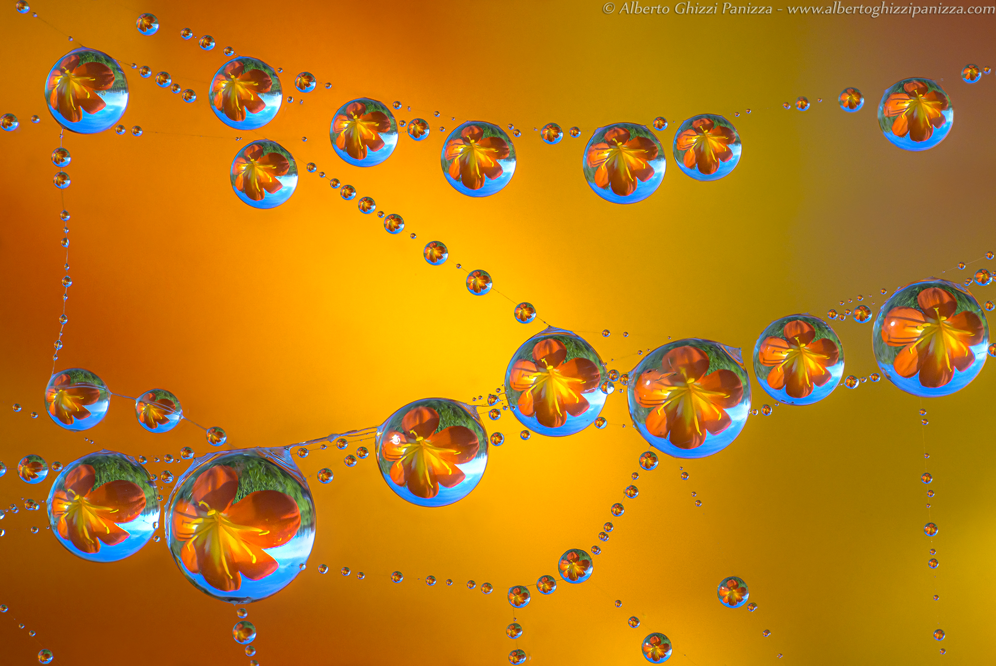 Riflessi di primavera