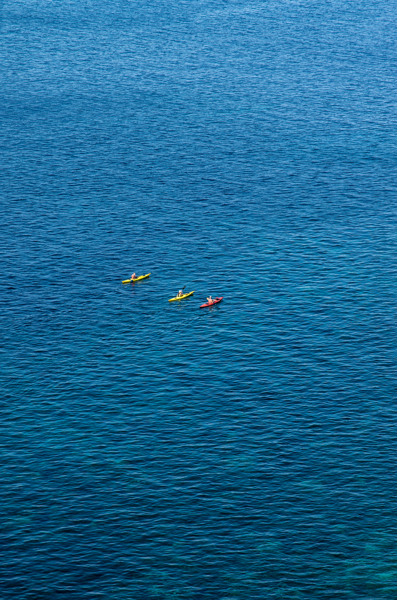 Voglia di libertà...