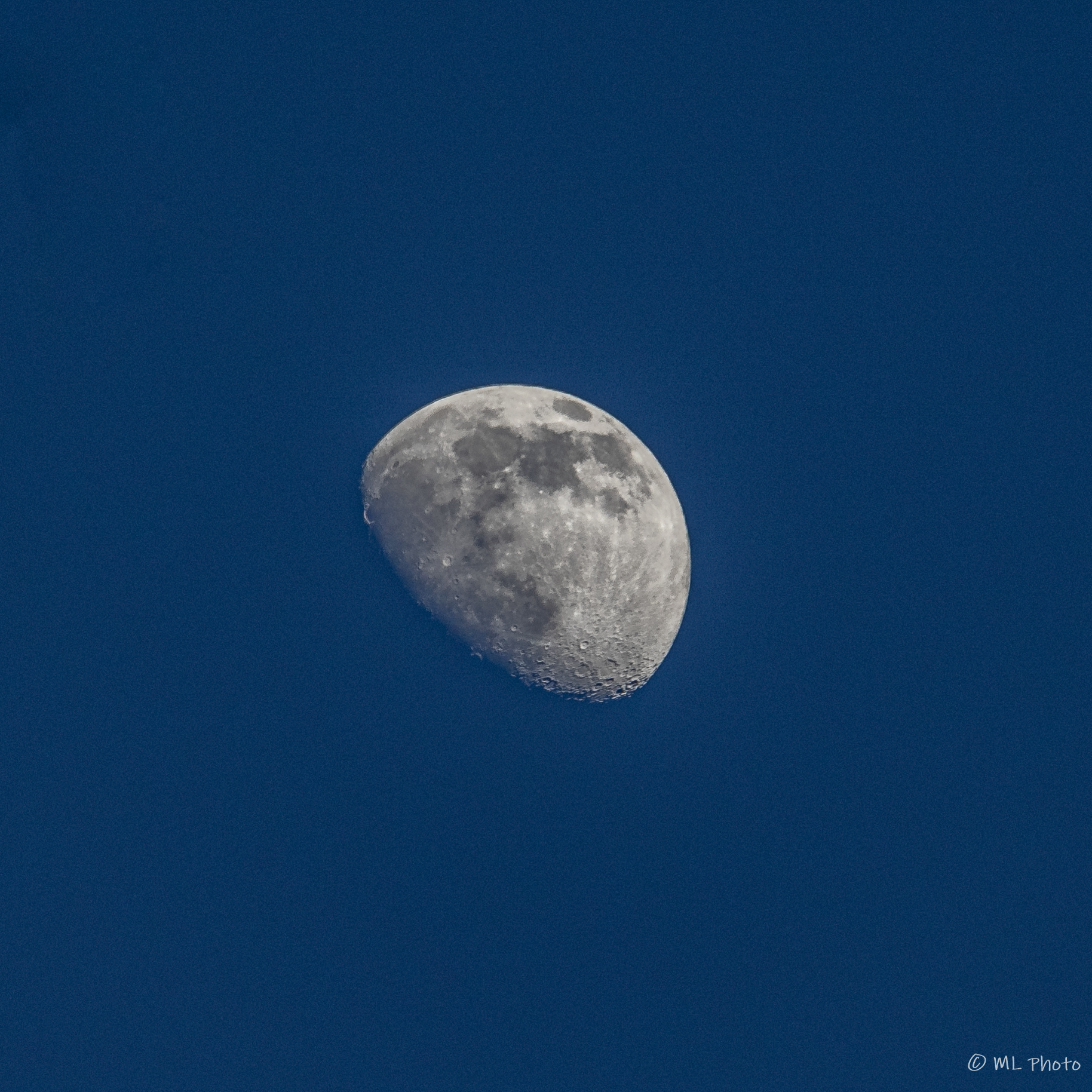 Afternoon Moon