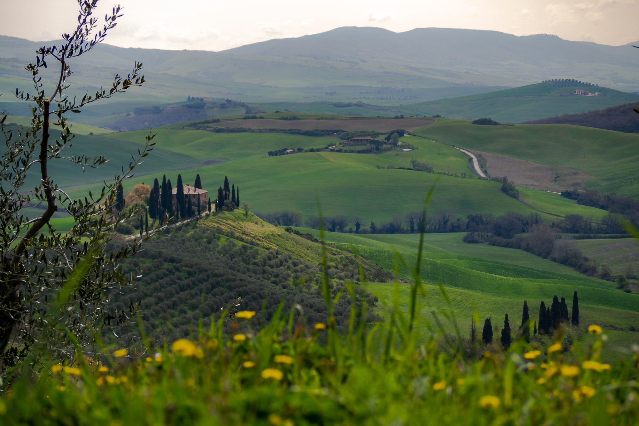 Primavera al Brlvedere