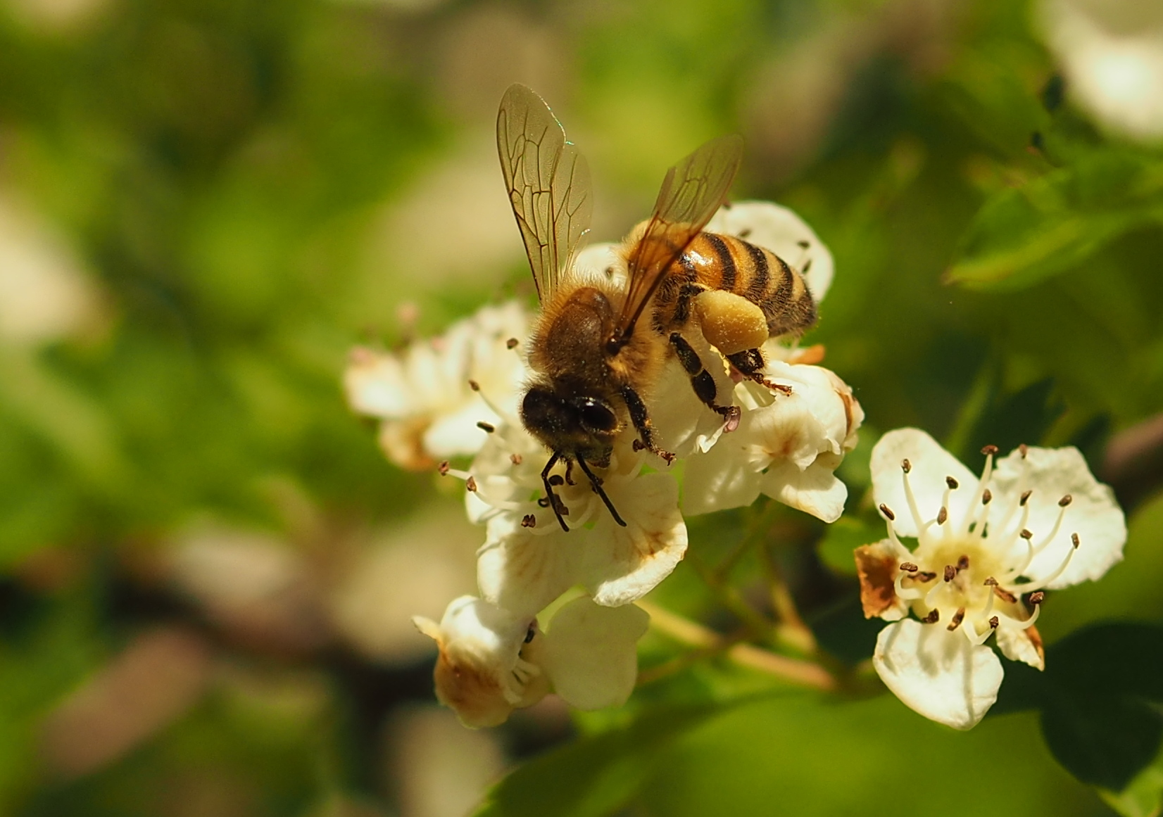 Prove tecniche  di macro...