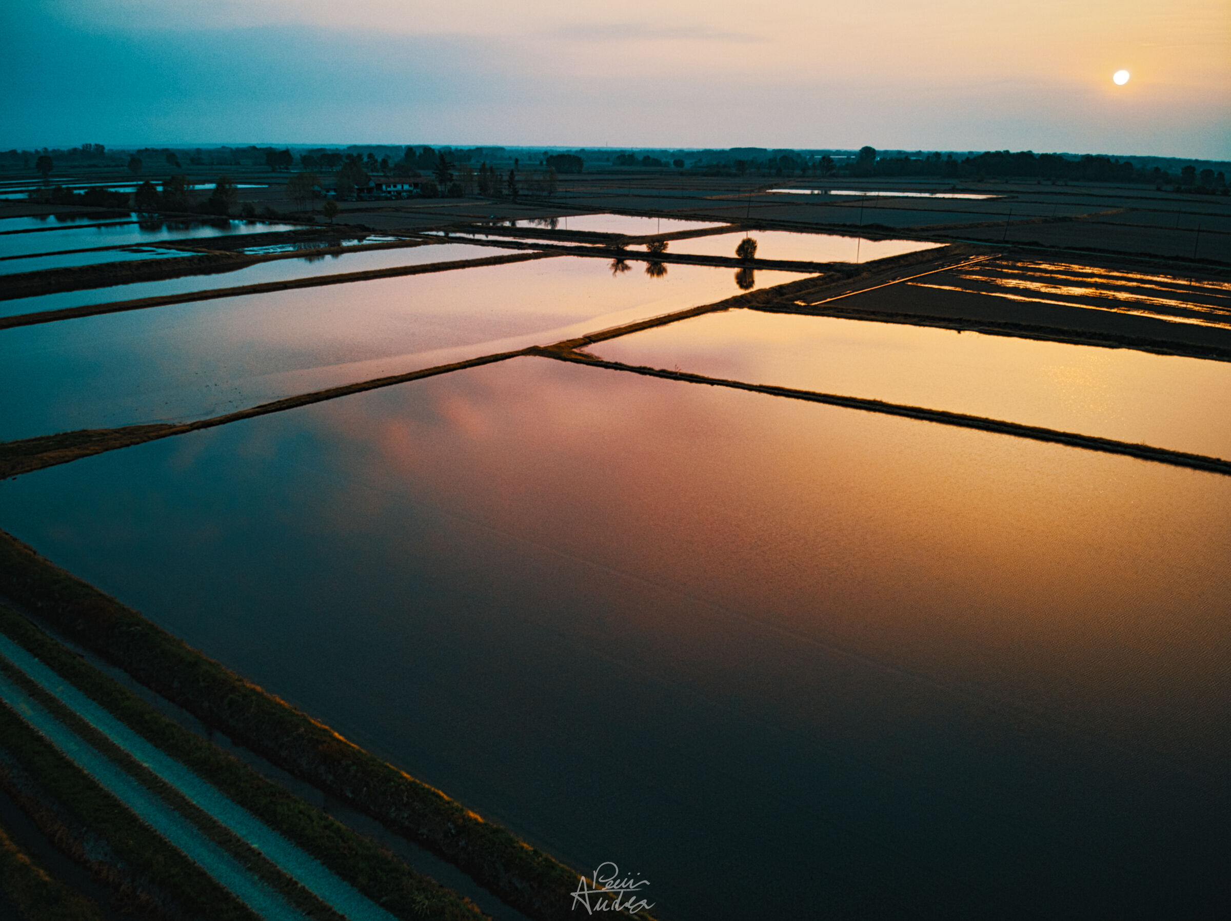 Rice paddies of Arborius