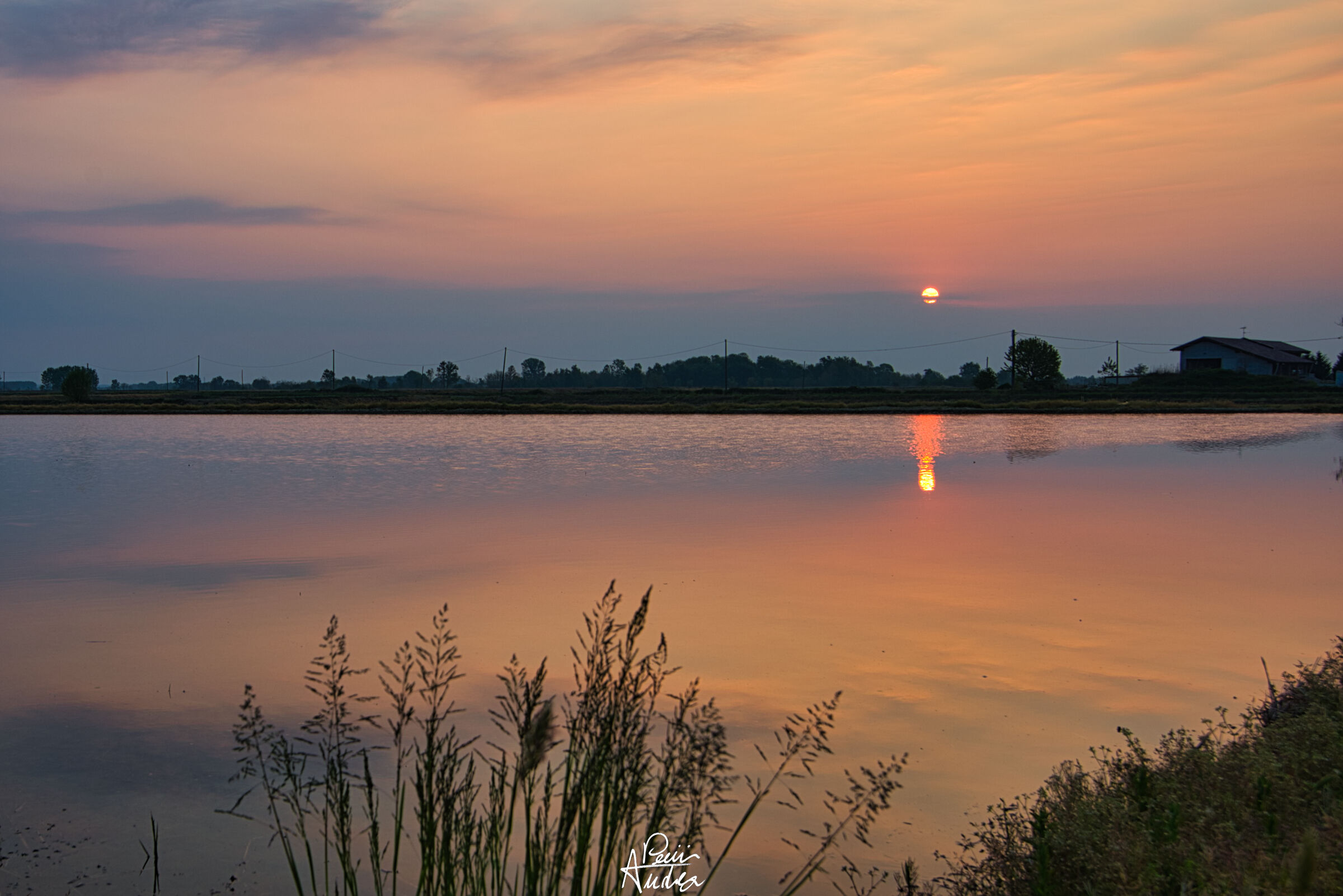 the sun rises in rice paddy