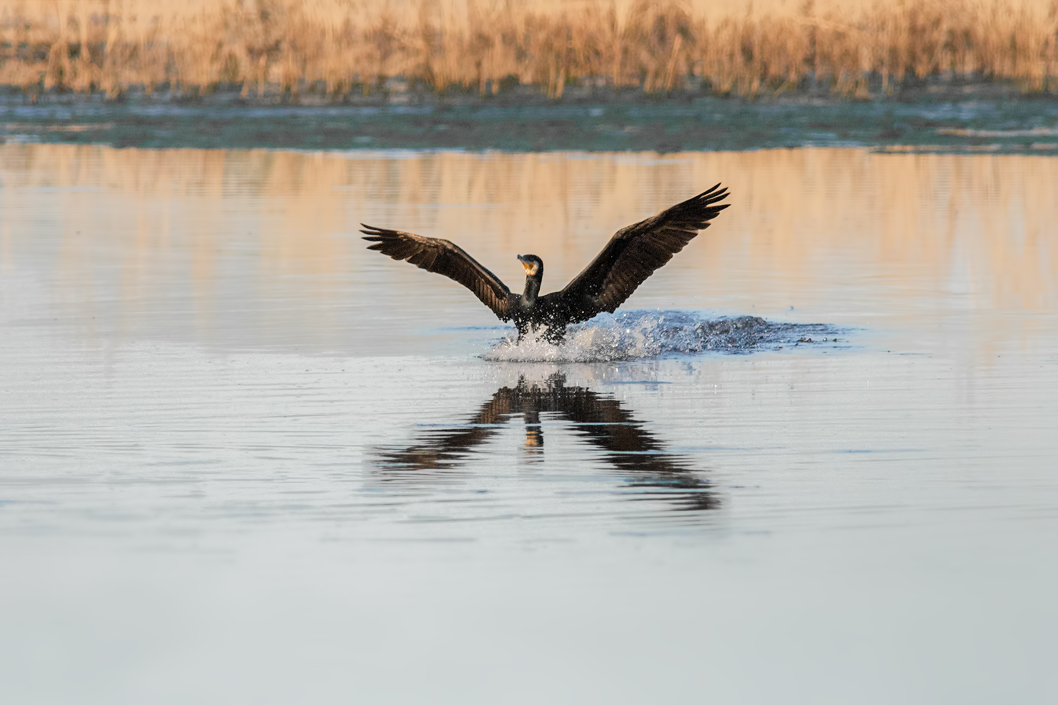 landing