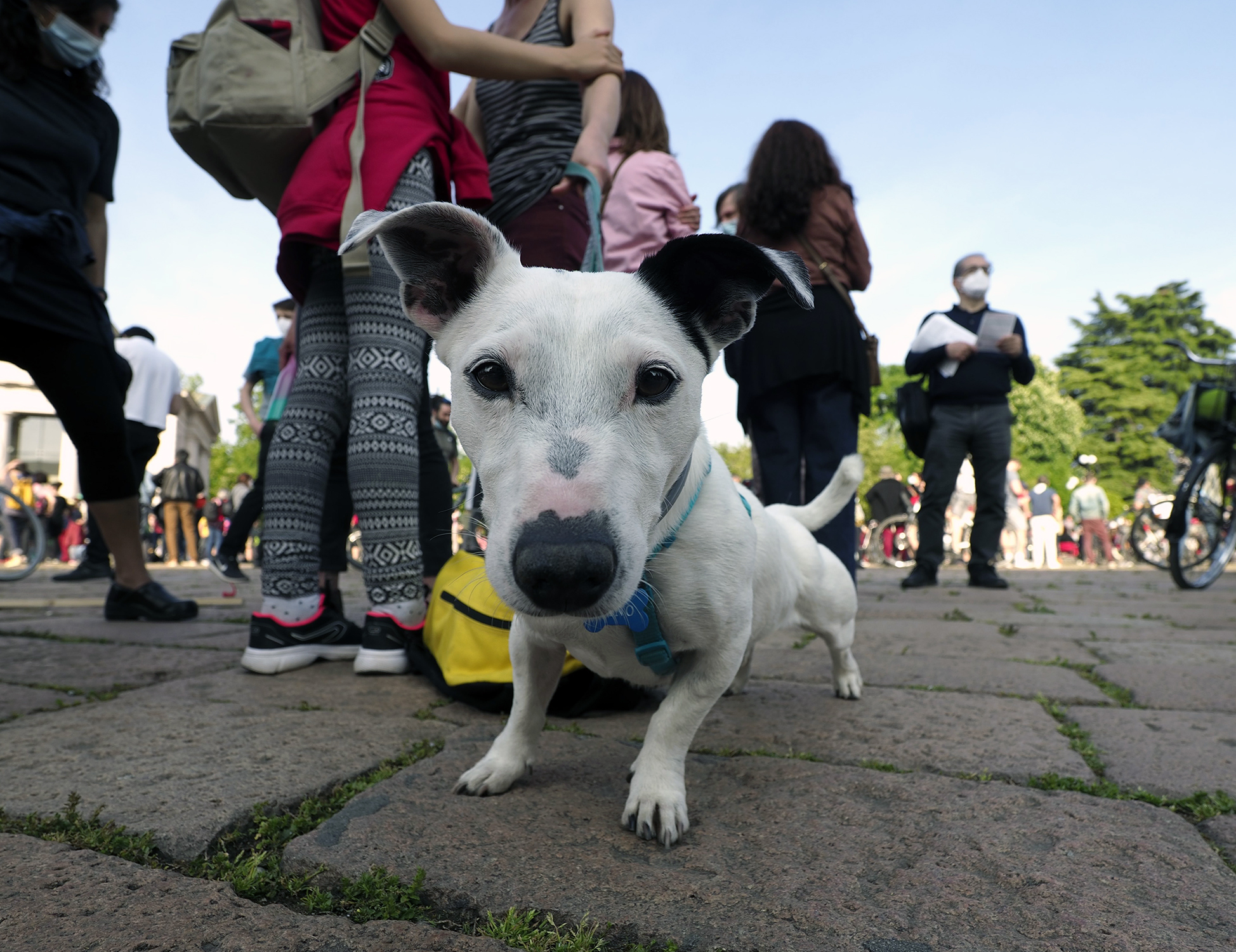 Buon 25 aprile da Pino