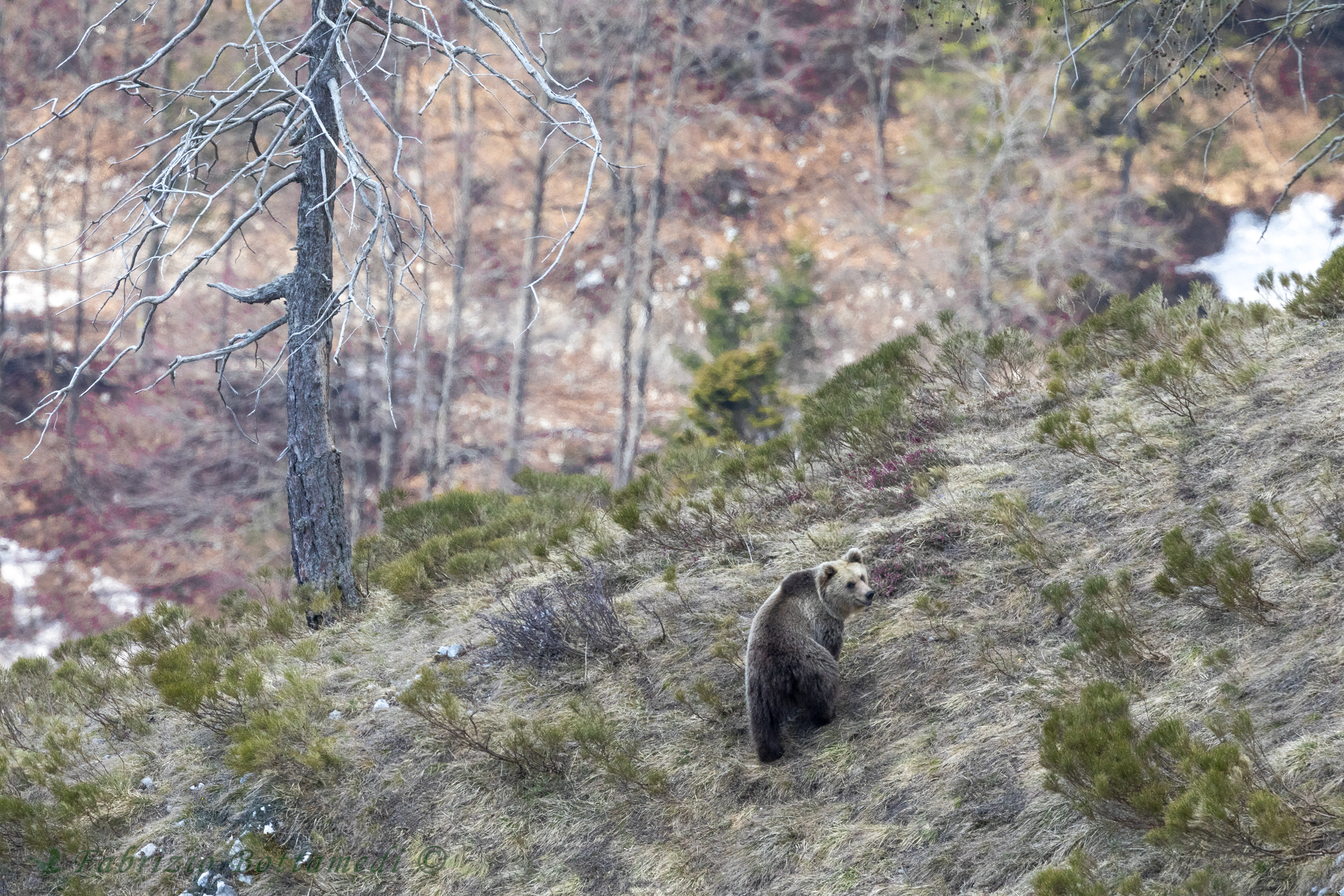 Incontri che ti lasciano senza fiato...!