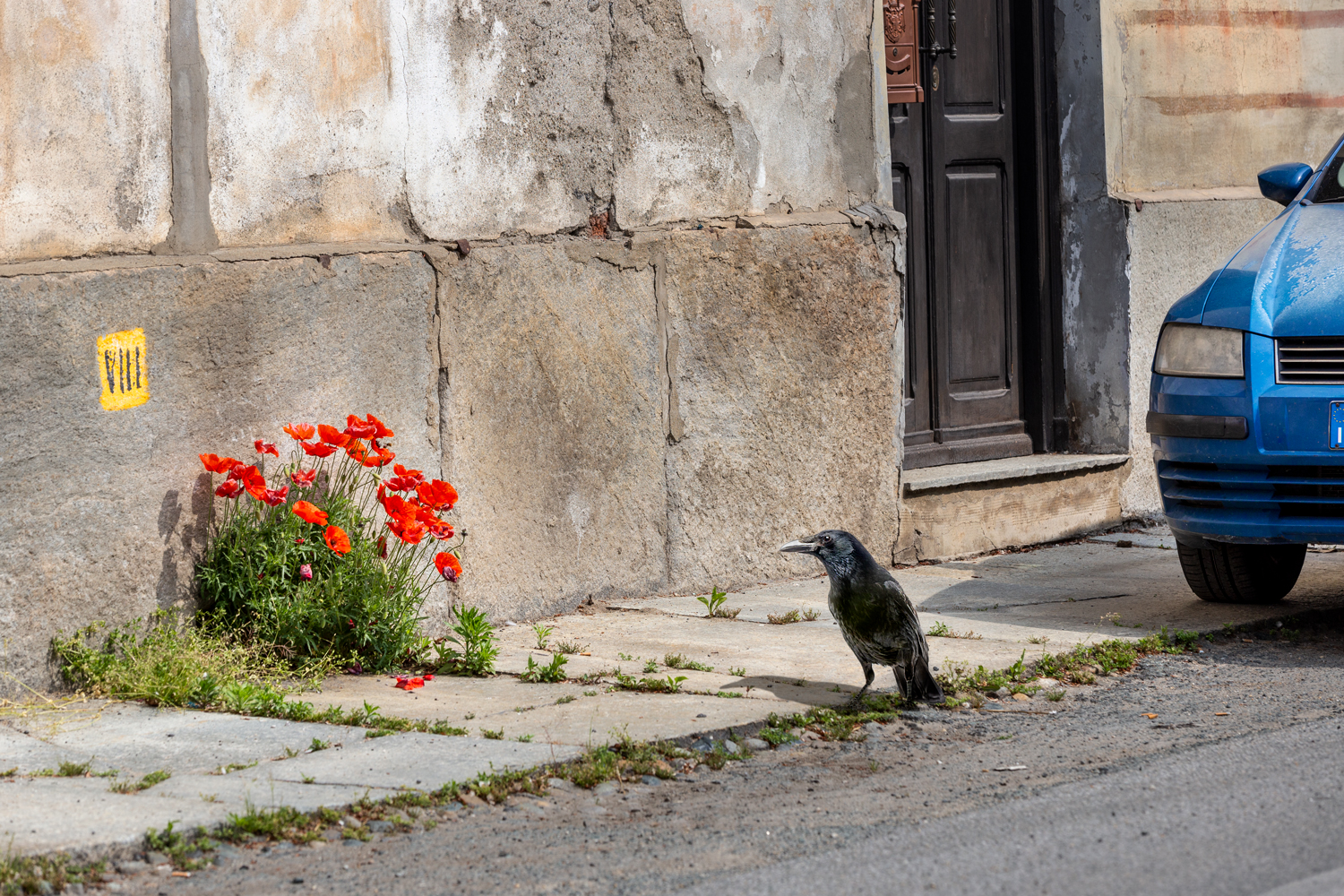 italiatraventicinqueaprileeprimomaggio