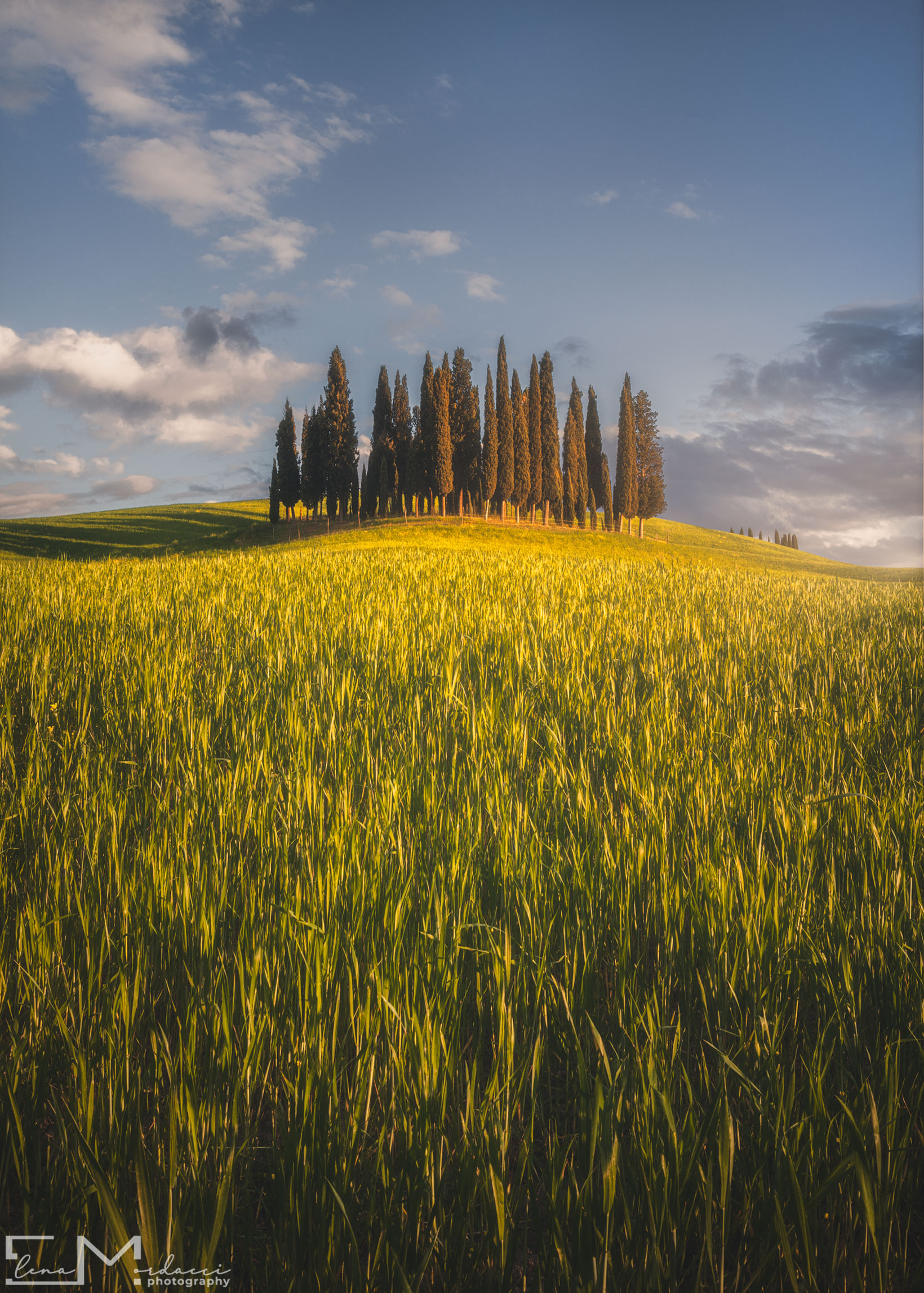 golden hour in Val d'Orcia