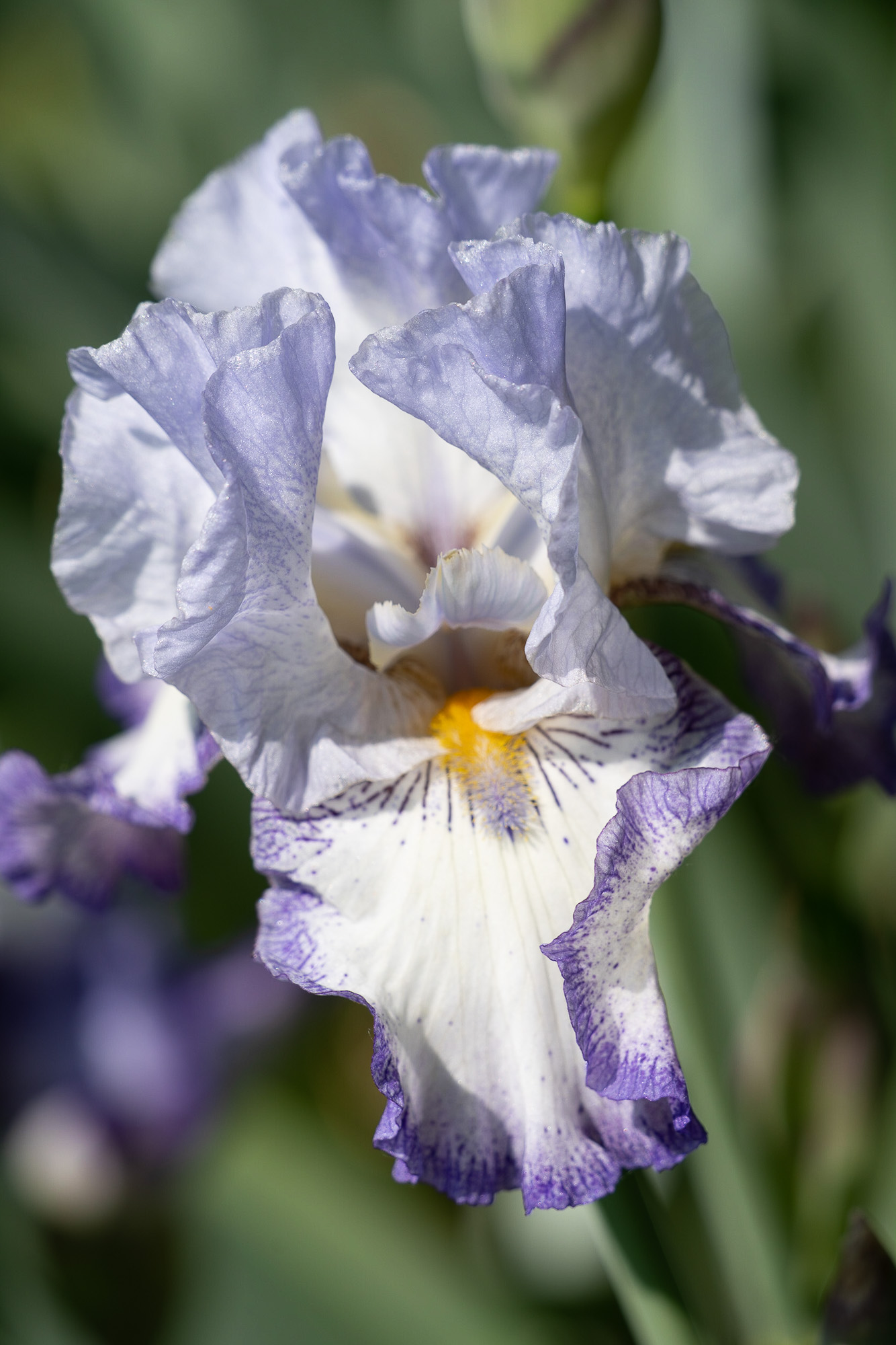 Visita all'Orto Botanico 2