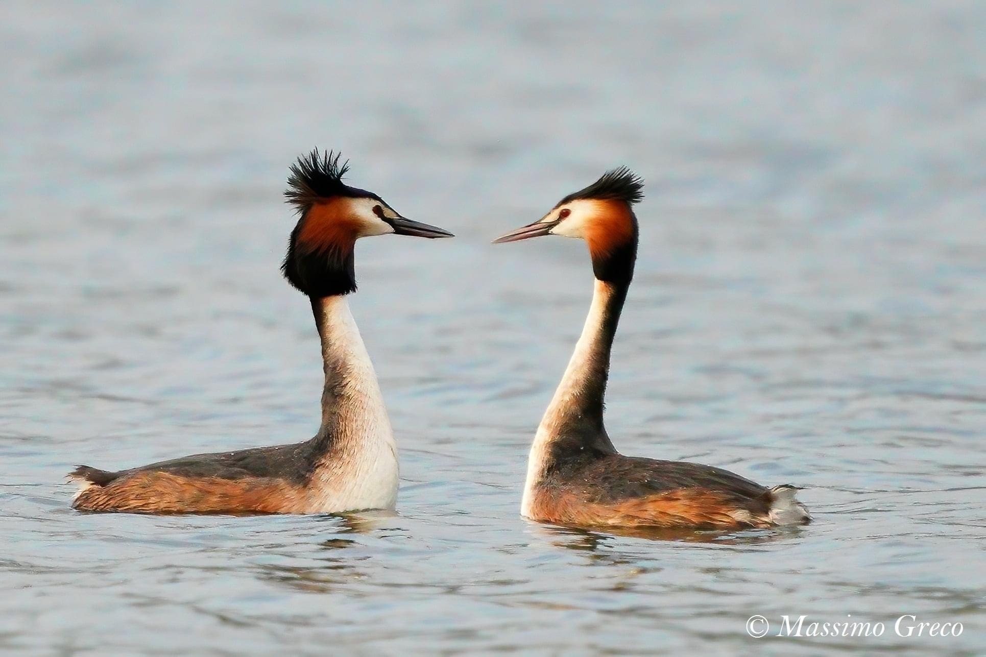 Sguardi innamorati all'alba sul Lago