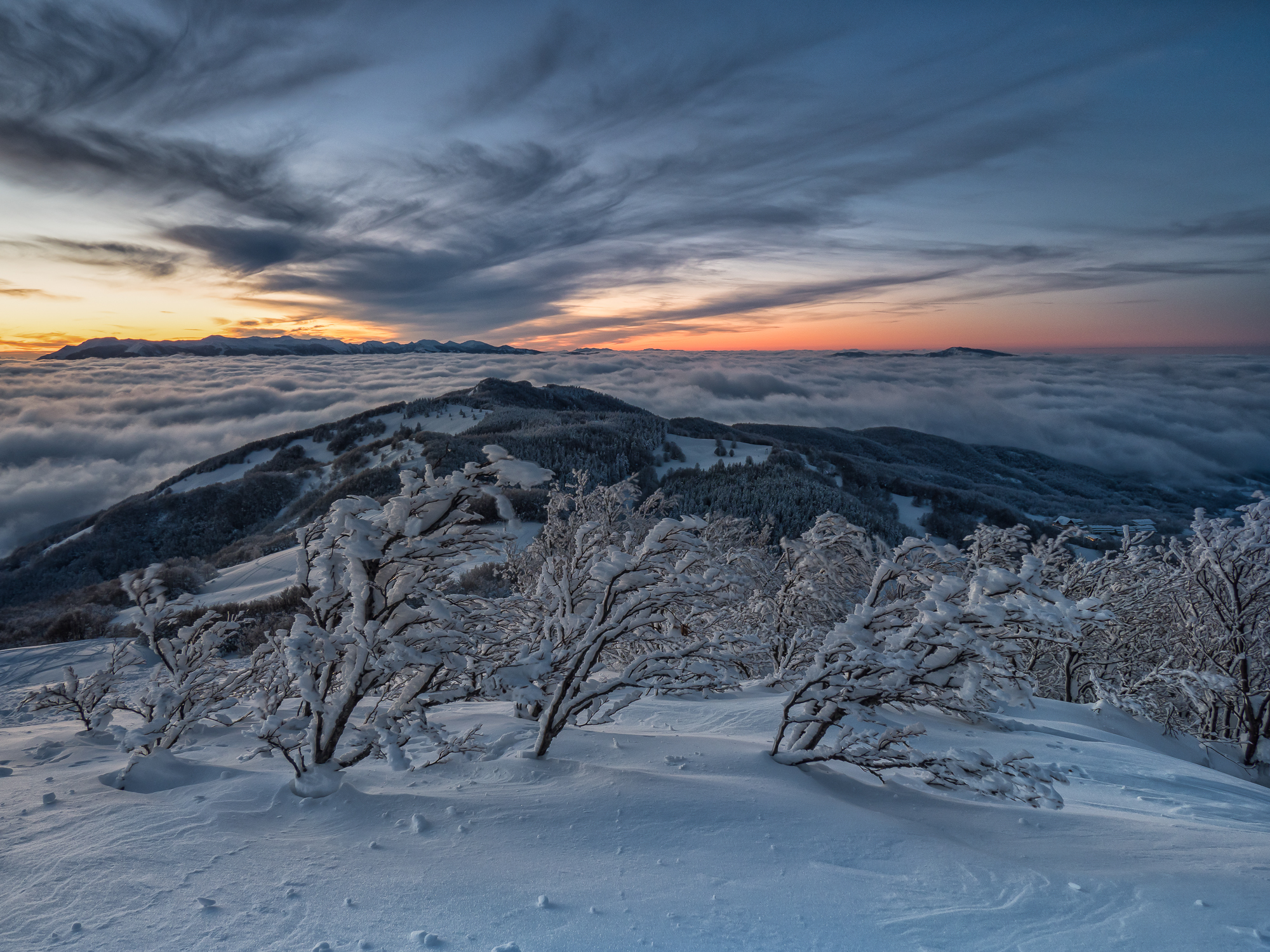 The light with the blue suit