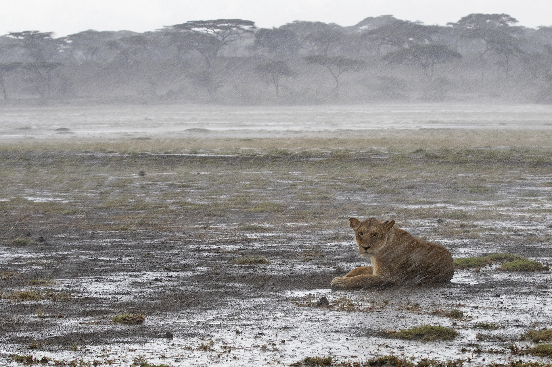 e' arrivata la bufera