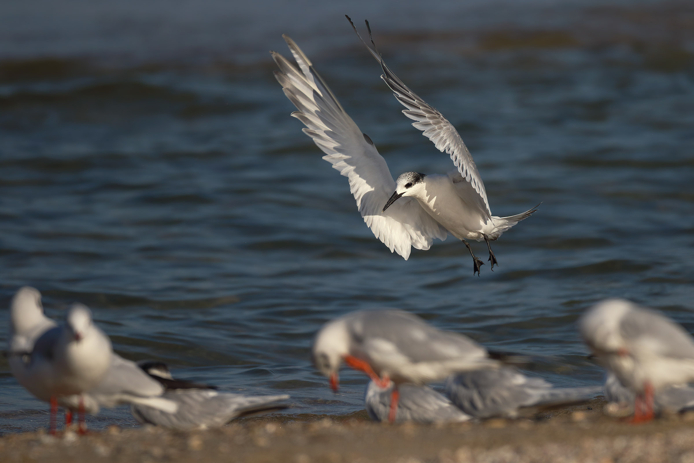 looking for parking!