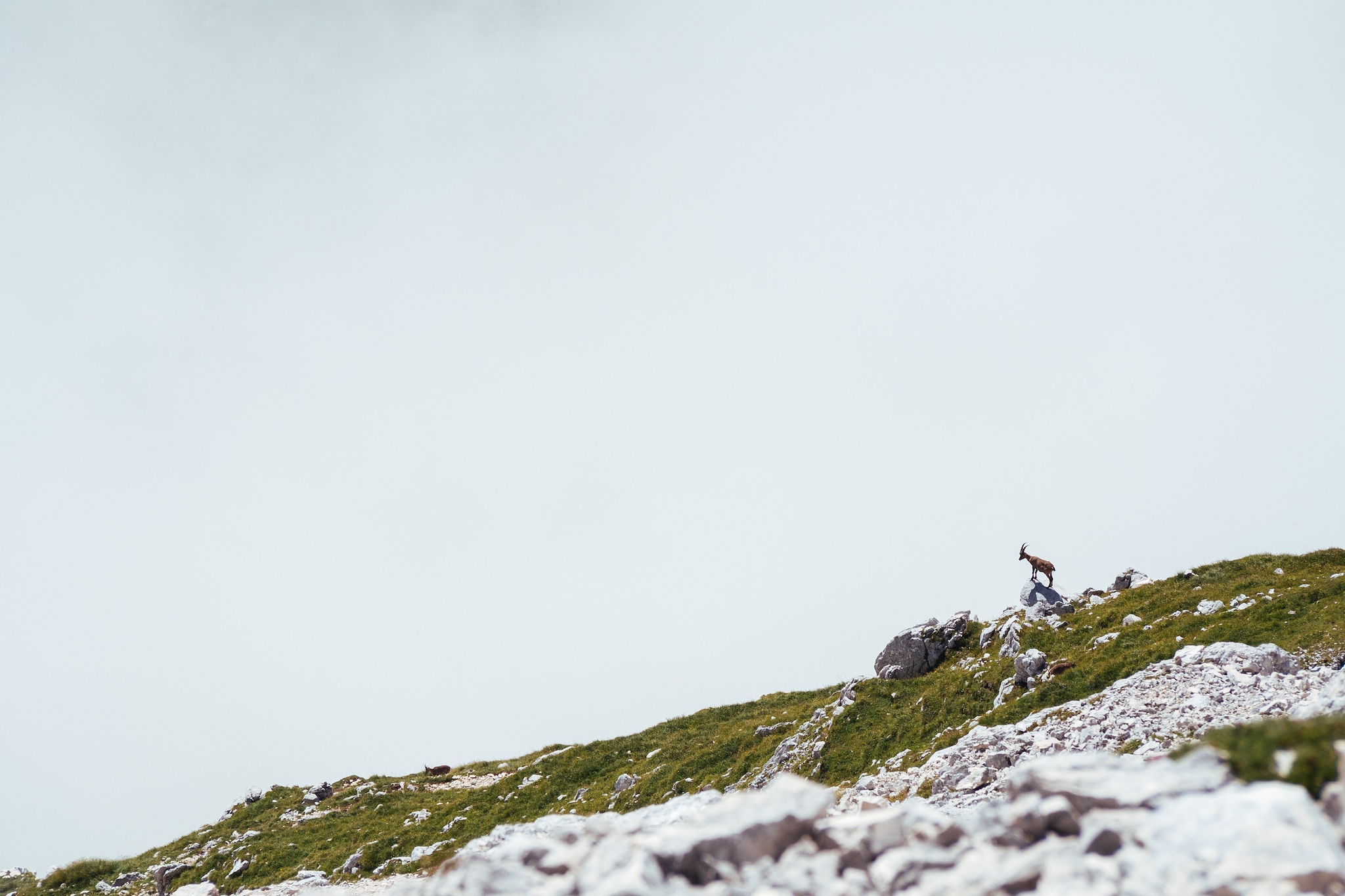 Verso Cima di Terra rossa (Gruppo del Montasio)