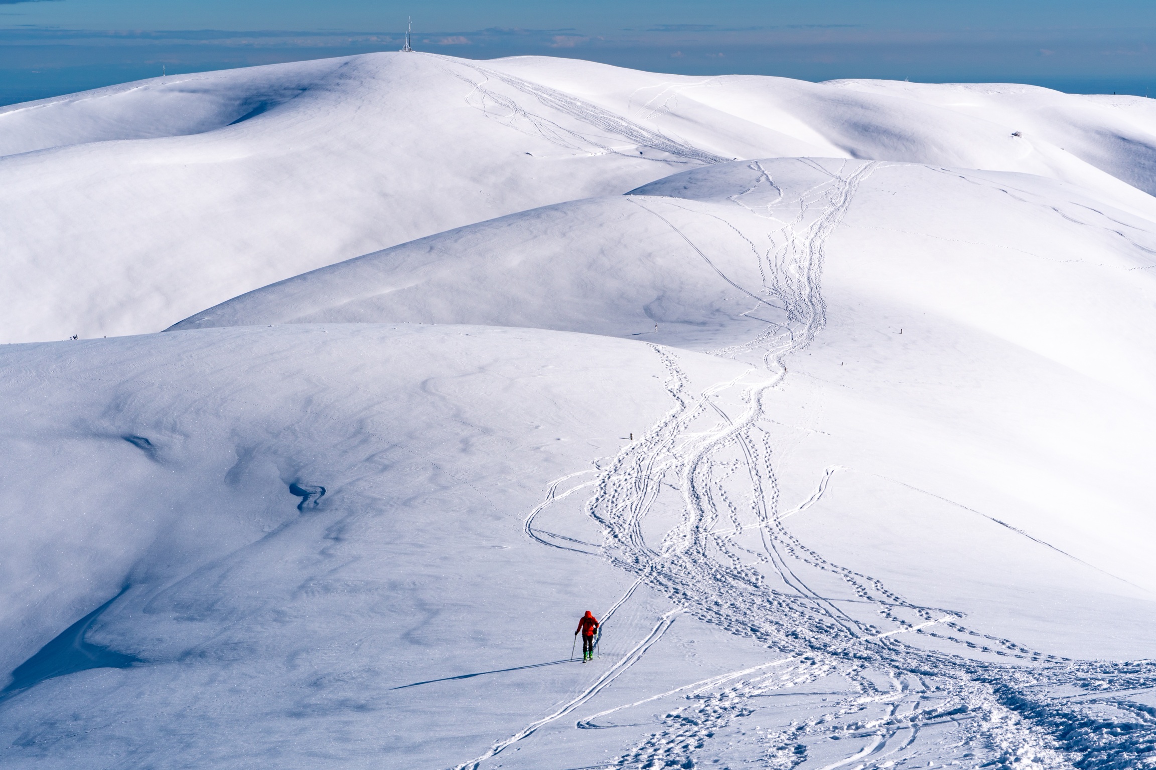 Scialpinismo sul Monte Cesen (tv)