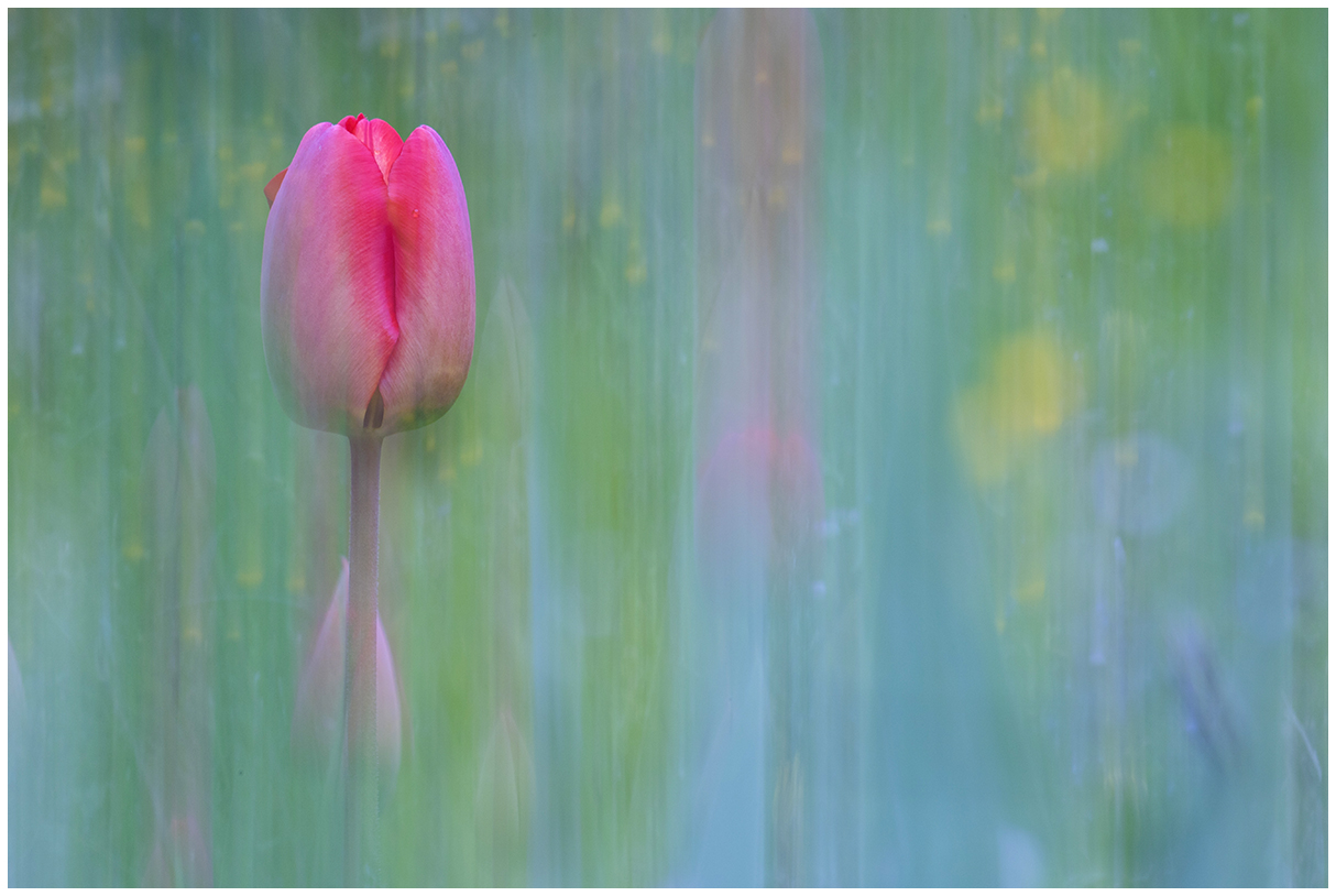 a picture of spring.