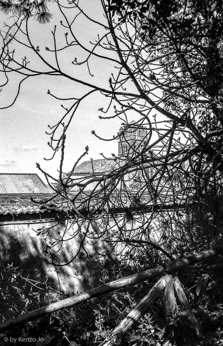 One more Spring after almost 1000 years