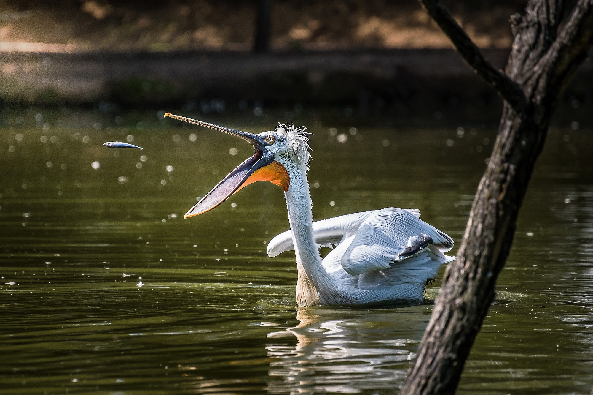 Spuntino in arrivooo...