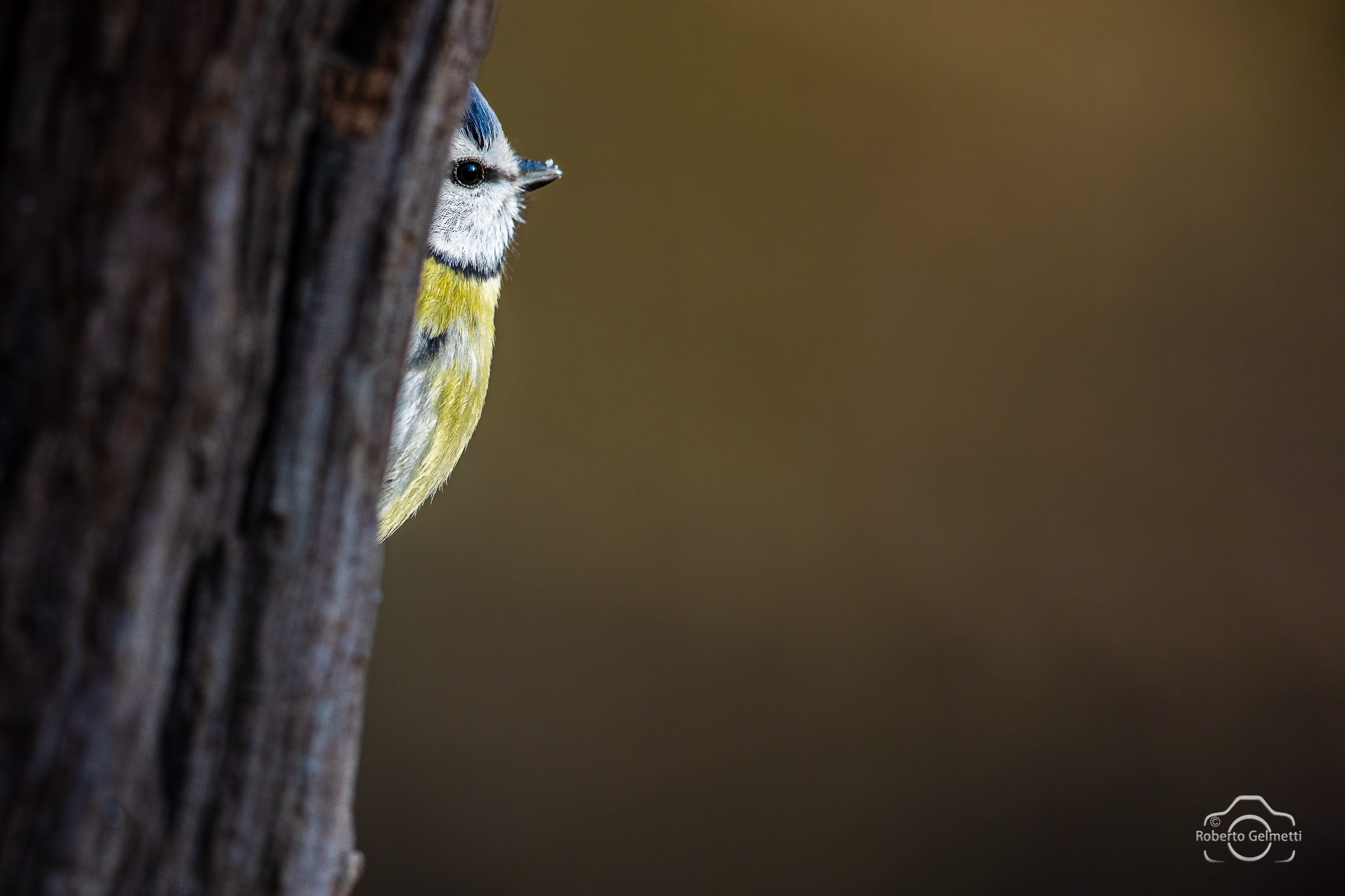 Profilo da zona rossa