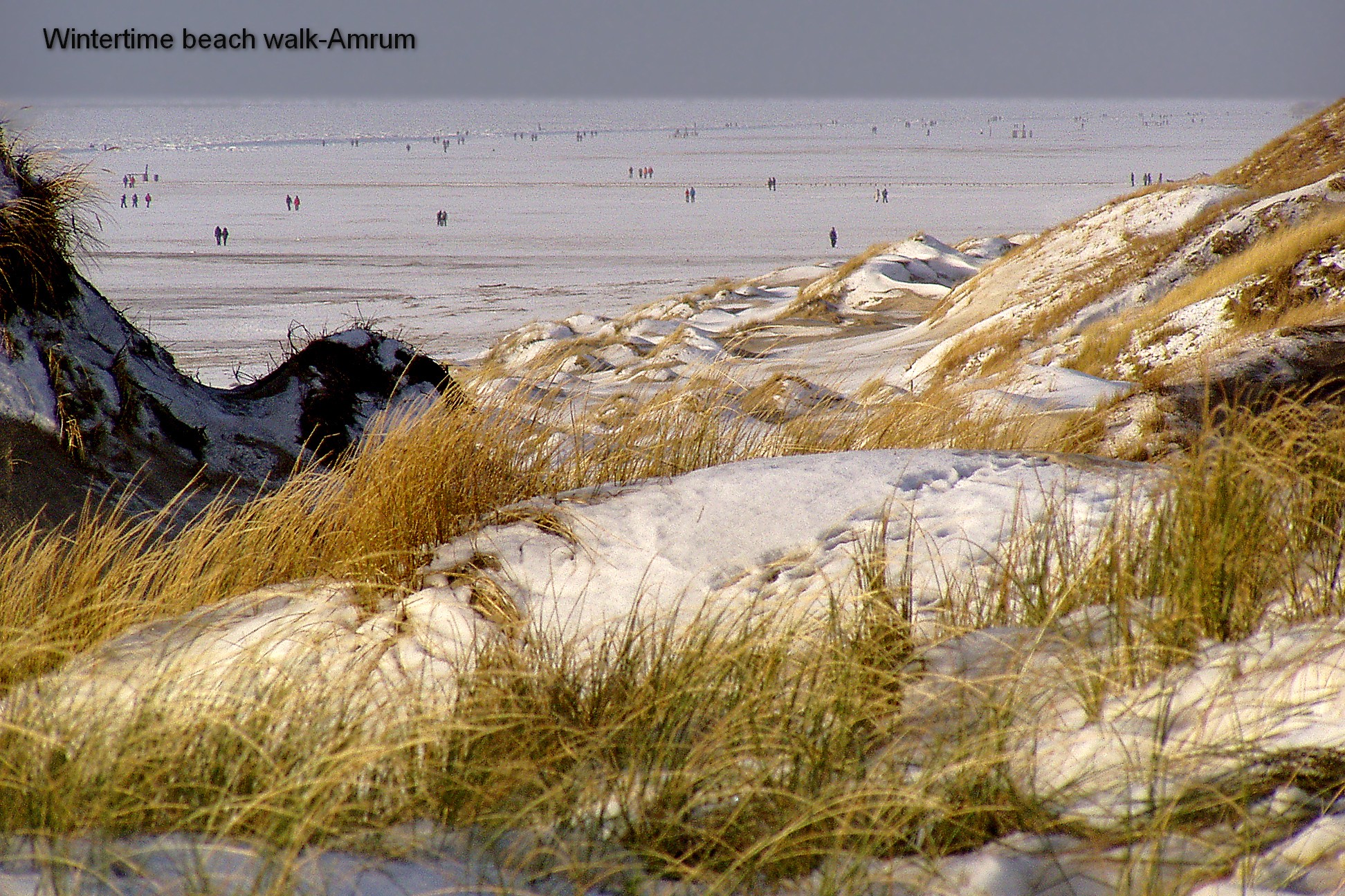Wintertime Beach walk - Amrum island