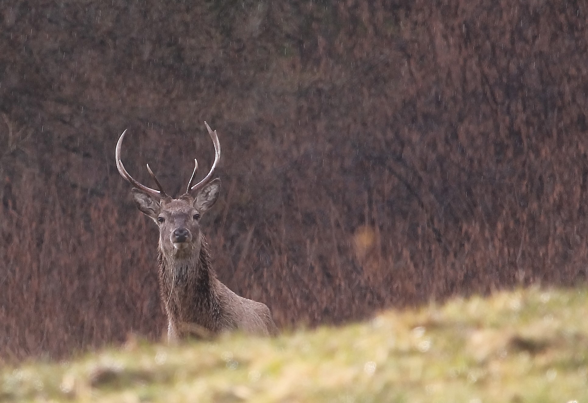 Nella quiete dopo la tempesta