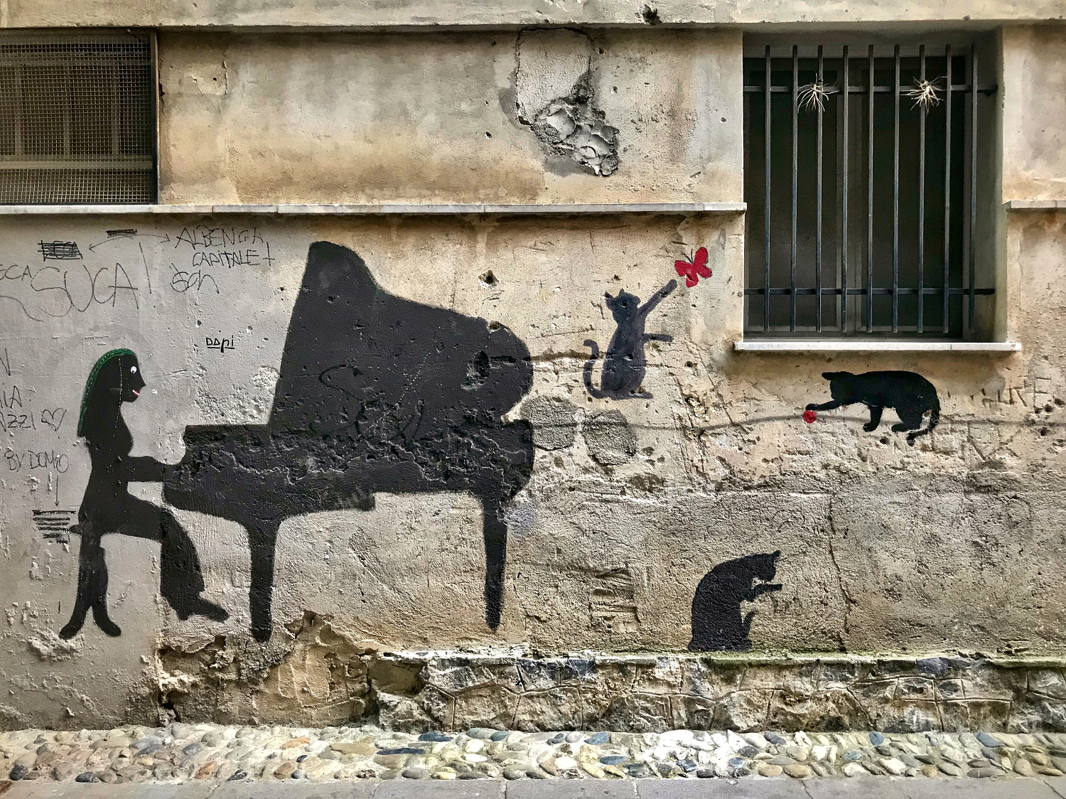 Sonata for distracted mici