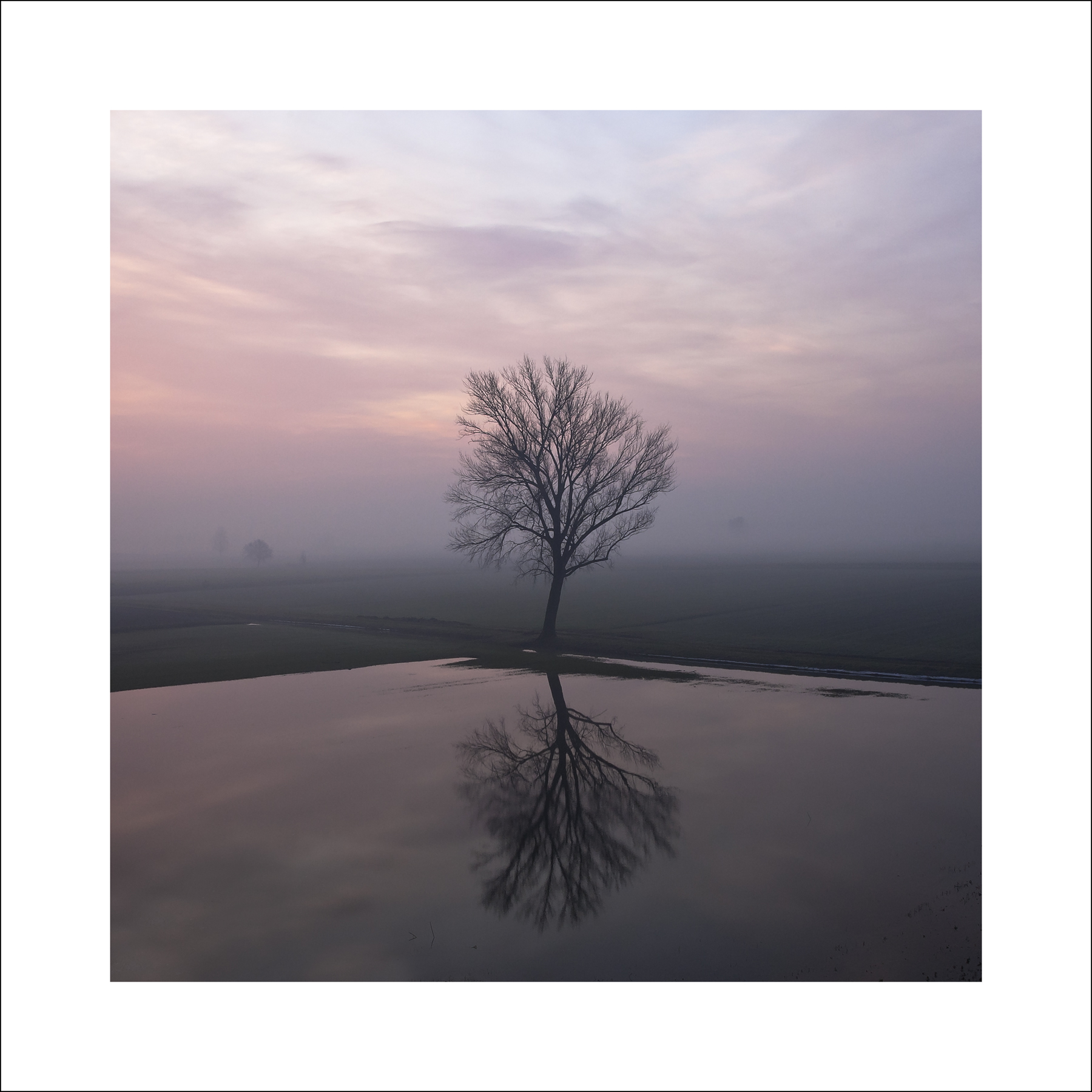 A corner in the evening